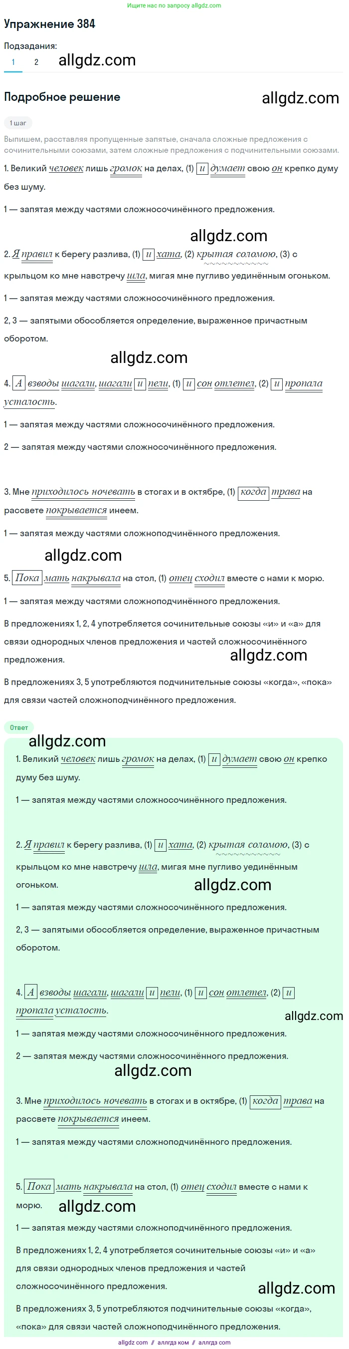 Русский язык, 7 класс Учебник, авторы: Баранов Михаил Трофимович, Ладыженская Таиса Алексеевна, Тростенцова Лидия Александровна, Ладыженская Наталия Вениаминовна, Александрова Ольга Макаровна, Дейкина Алевтина Дмитриевна, Антонова Любовь Геннадиевна, Григорян Лариса Трофимовна, Кулибаба Иван Иванович, издательство Просвещение, Москва, 2023, зелёного цвета, Часть 1, страница 217, номер 384, Решение 2019-2022
