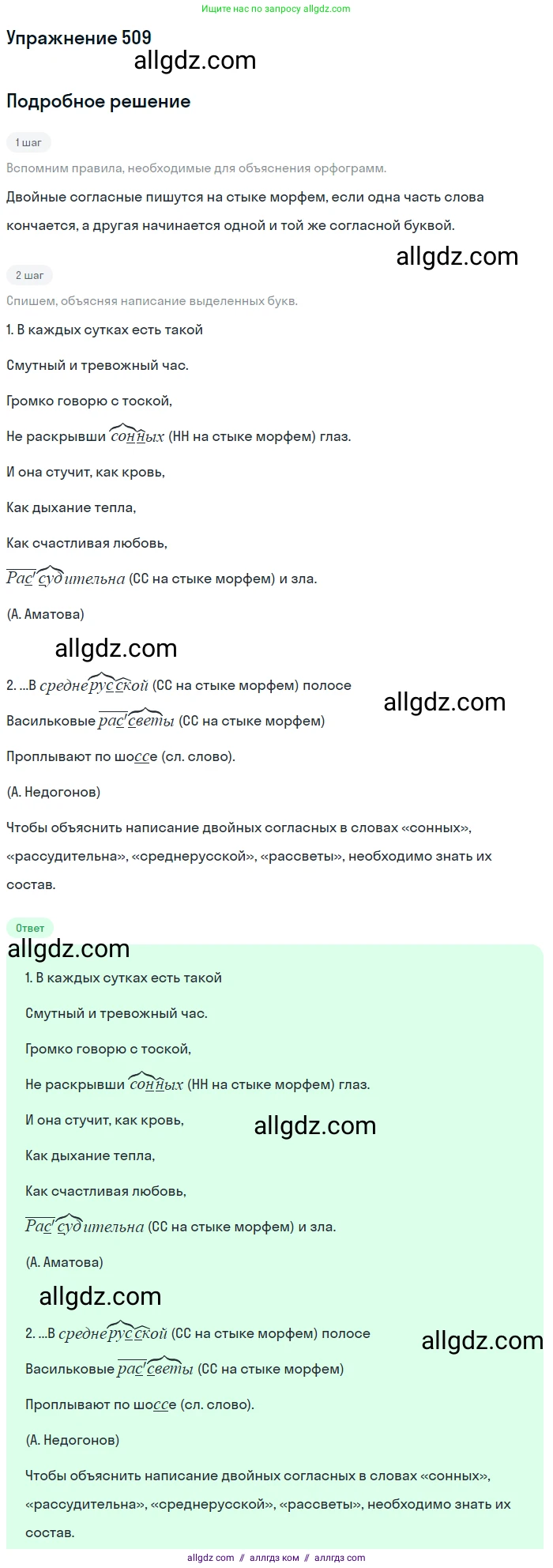 Русский язык, 7 класс Учебник, авторы: Баранов Михаил Трофимович, Ладыженская Таиса Алексеевна, Тростенцова Лидия Александровна, Ладыженская Наталия Вениаминовна, Александрова Ольга Макаровна, Дейкина Алевтина Дмитриевна, Антонова Любовь Геннадиевна, Григорян Лариса Трофимовна, Кулибаба Иван Иванович, издательство Просвещение, Москва, 2023, зелёного цвета, Часть 2, страница 81, номер 509, Решение 2019-2022