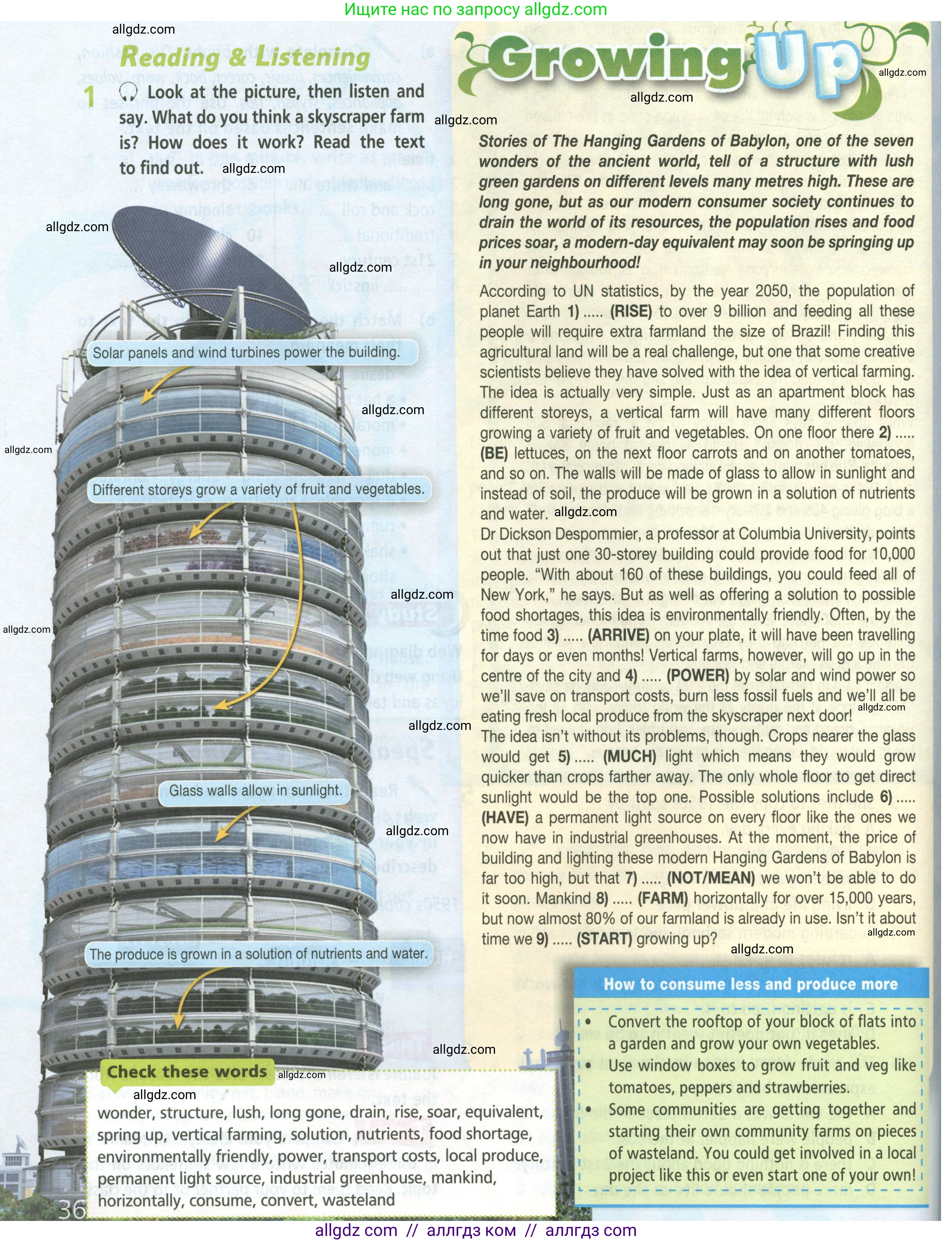 Английский язык (english), 8 класс Учебник (Student's book), авторы: Баранова Ксения Михайловна (Baranova Ksenia), Дули Дженни (Dooley Jenny), Копылова Виктория Викторовна (Kopylova Victoria), Мильруд Радислав Петрович (Millrood Radislav), Эванс Вирджиния (Evans Virginia), издательство Просвещение, Москва, 2023, белого цвета, страница 36, номер 1, Условие 2023-2027