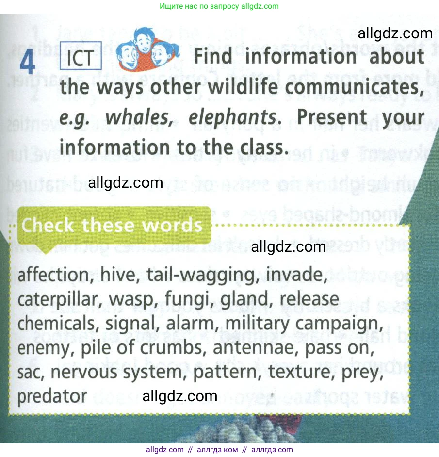 Английский язык (english), 8 класс Учебник (Student's book), авторы: Баранова Ксения Михайловна (Baranova Ksenia), Дули Дженни (Dooley Jenny), Копылова Виктория Викторовна (Kopylova Victoria), Мильруд Радислав Петрович (Millrood Radislav), Эванс Вирджиния (Evans Virginia), издательство Просвещение, Москва, 2023, белого цвета, страница 119, номер 4, Условие 2023-2027