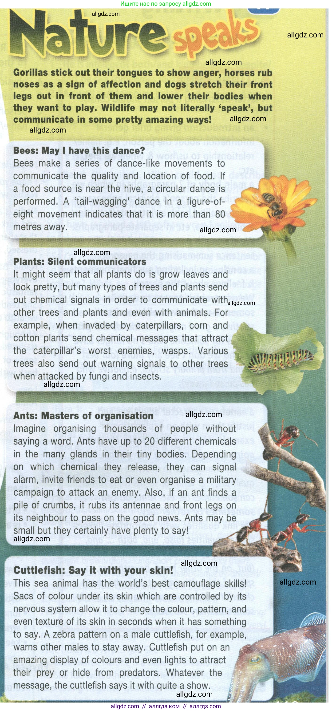 Английский язык (english), 8 класс Учебник (Student's book), авторы: Баранова Ксения Михайловна (Baranova Ksenia), Дули Дженни (Dooley Jenny), Копылова Виктория Викторовна (Kopylova Victoria), Мильруд Радислав Петрович (Millrood Radislav), Эванс Вирджиния (Evans Virginia), издательство Просвещение, Москва, 2023, белого цвета, страница 119, номер 4, Условие 2023-2027 (продолжение 2)