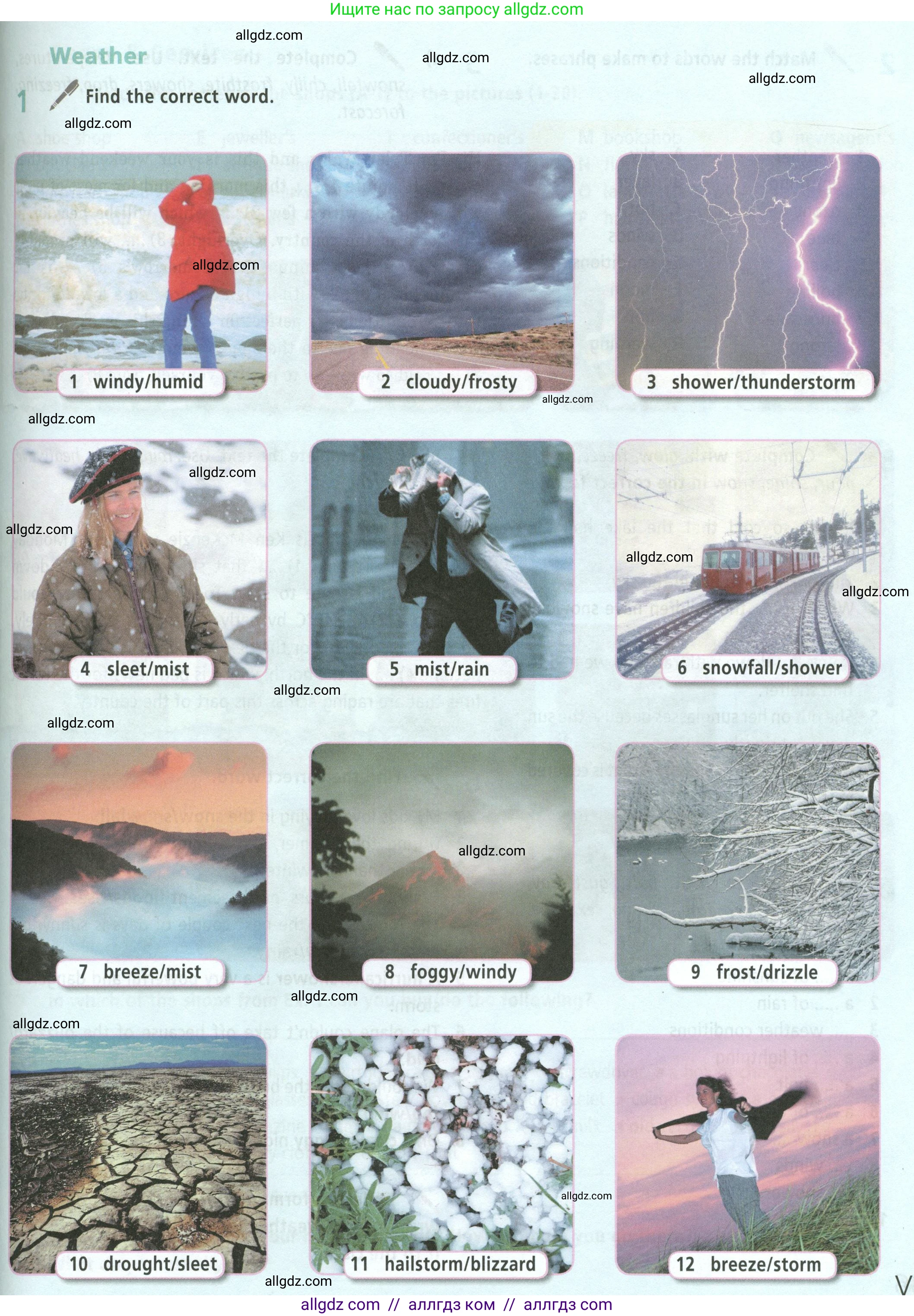 Английский язык (english), 8 класс Учебник (Student's book), авторы: Баранова Ксения Михайловна (Baranova Ksenia), Дули Дженни (Dooley Jenny), Копылова Виктория Викторовна (Kopylova Victoria), Мильруд Радислав Петрович (Millrood Radislav), Эванс Вирджиния (Evans Virginia), издательство Просвещение, Москва, 2023, белого цвета, страница 137, номер 1, Условие 2023-2027