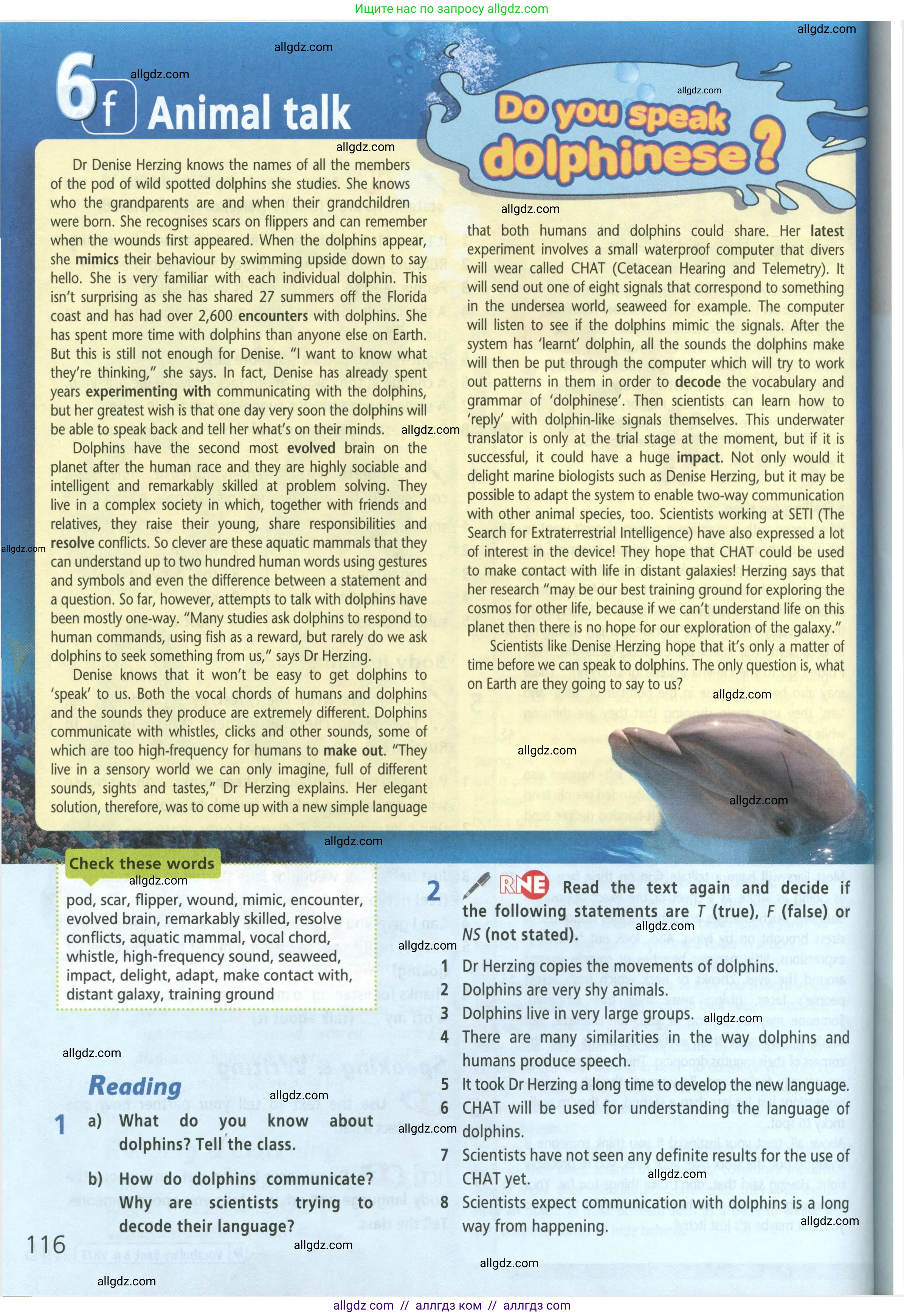 Английский язык (english), 8 класс Учебник (Student's book), авторы: Баранова Ксения Михайловна (Baranova Ksenia), Дули Дженни (Dooley Jenny), Копылова Виктория Викторовна (Kopylova Victoria), Мильруд Радислав Петрович (Millrood Radislav), Эванс Вирджиния (Evans Virginia), издательство Просвещение, Москва, 2023, белого цвета, страница 116