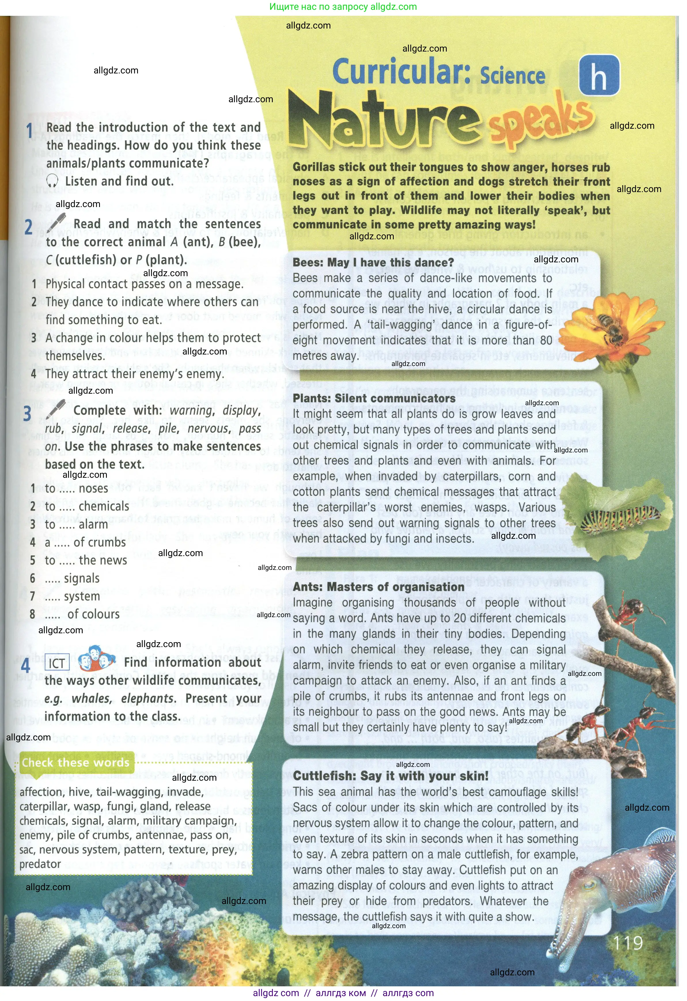 Английский язык (english), 8 класс Учебник (Student's book), авторы: Баранова Ксения Михайловна (Baranova Ksenia), Дули Дженни (Dooley Jenny), Копылова Виктория Викторовна (Kopylova Victoria), Мильруд Радислав Петрович (Millrood Radislav), Эванс Вирджиния (Evans Virginia), издательство Просвещение, Москва, 2023, белого цвета, страница 119