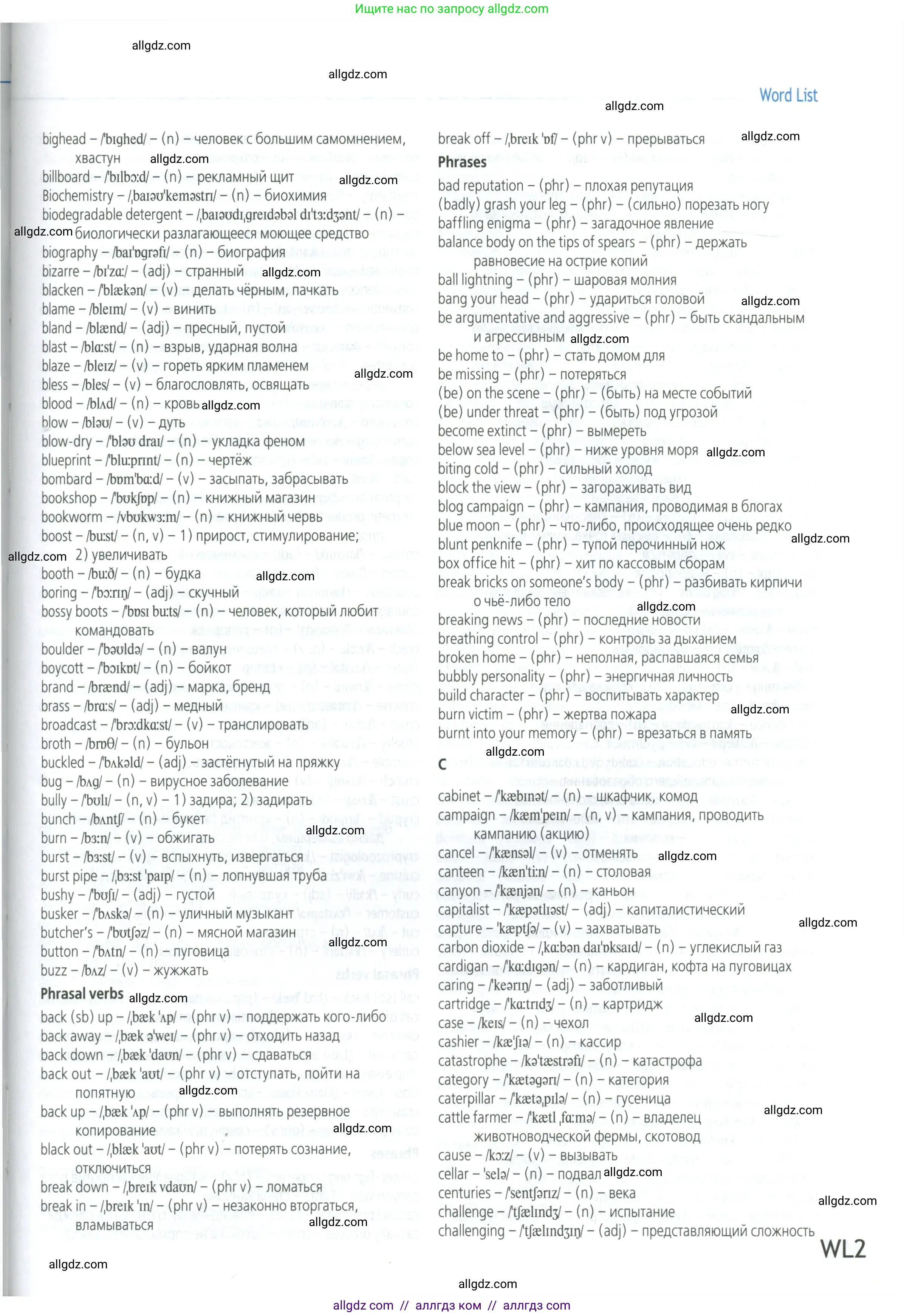 Английский язык (english), 8 класс Учебник (Student's book), авторы: Баранова Ксения Михайловна (Baranova Ksenia), Дули Дженни (Dooley Jenny), Копылова Виктория Викторовна (Kopylova Victoria), Мильруд Радислав Петрович (Millrood Radislav), Эванс Вирджиния (Evans Virginia), издательство Просвещение, Москва, 2023, белого цвета, страница 193