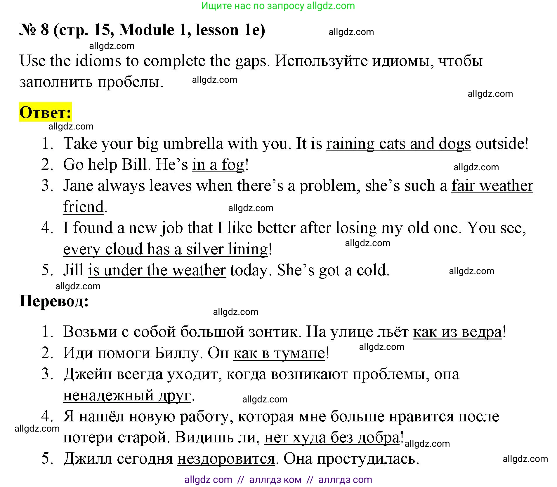 Английский язык (english), 8 класс Учебник (Student's book), авторы: Баранова Ксения Михайловна (Baranova Ksenia), Дули Дженни (Dooley Jenny), Копылова Виктория Викторовна (Kopylova Victoria), Мильруд Радислав Петрович (Millrood Radislav), Эванс Вирджиния (Evans Virginia), издательство Просвещение, Москва, 2023, белого цвета, страница 15, номер 8, Решение 2023-2027