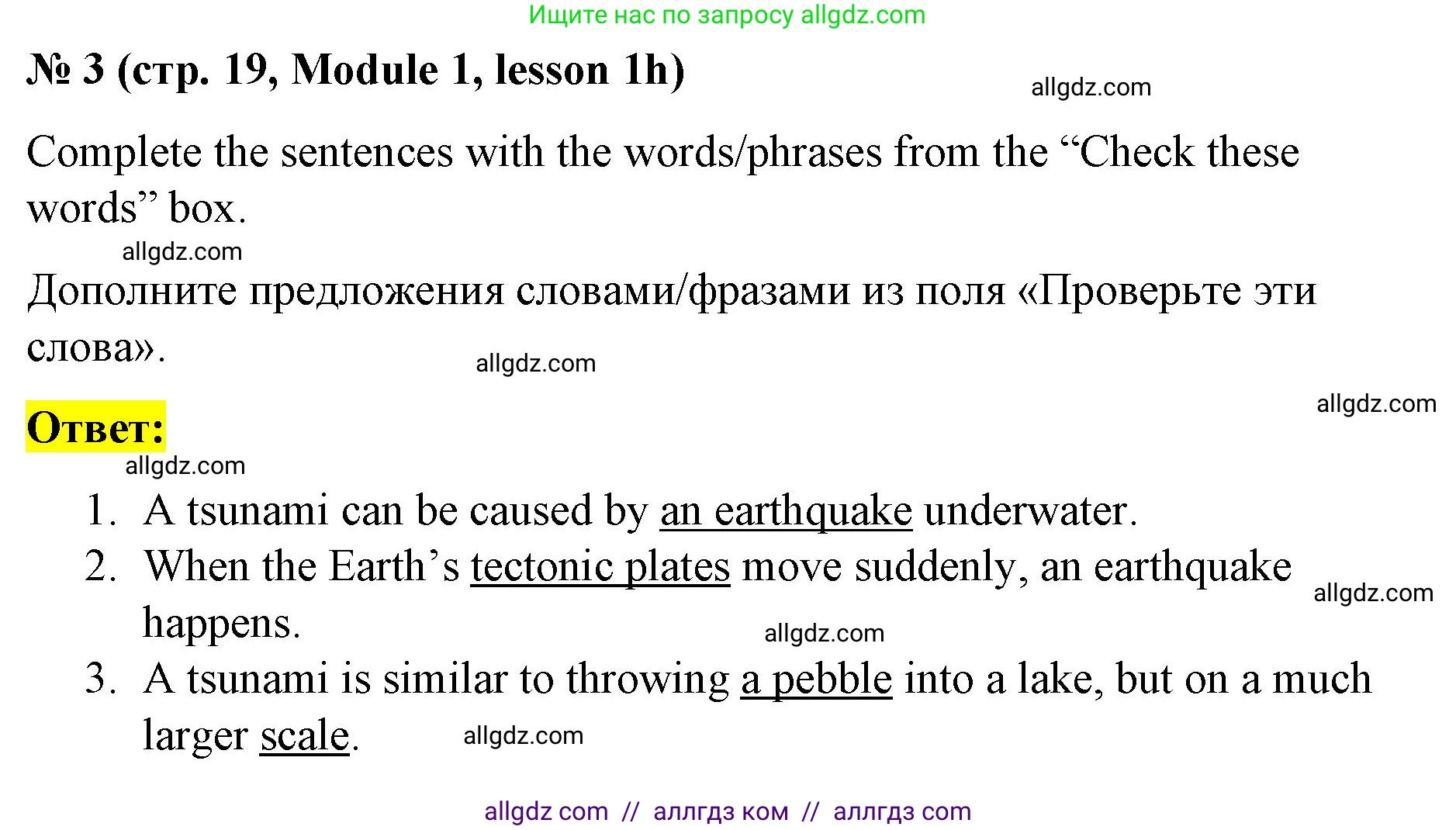 Английский язык (english), 8 класс Учебник (Student's book), авторы: Баранова Ксения Михайловна (Baranova Ksenia), Дули Дженни (Dooley Jenny), Копылова Виктория Викторовна (Kopylova Victoria), Мильруд Радислав Петрович (Millrood Radislav), Эванс Вирджиния (Evans Virginia), издательство Просвещение, Москва, 2023, белого цвета, страница 19, номер 3, Решение 2023-2027