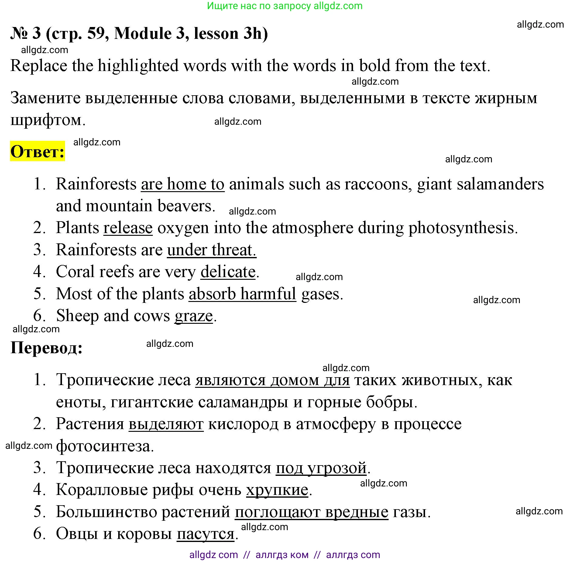 Английский язык (english), 8 класс Учебник (Student's book), авторы: Баранова Ксения Михайловна (Baranova Ksenia), Дули Дженни (Dooley Jenny), Копылова Виктория Викторовна (Kopylova Victoria), Мильруд Радислав Петрович (Millrood Radislav), Эванс Вирджиния (Evans Virginia), издательство Просвещение, Москва, 2023, белого цвета, страница 59, номер 3, Решение 2023-2027