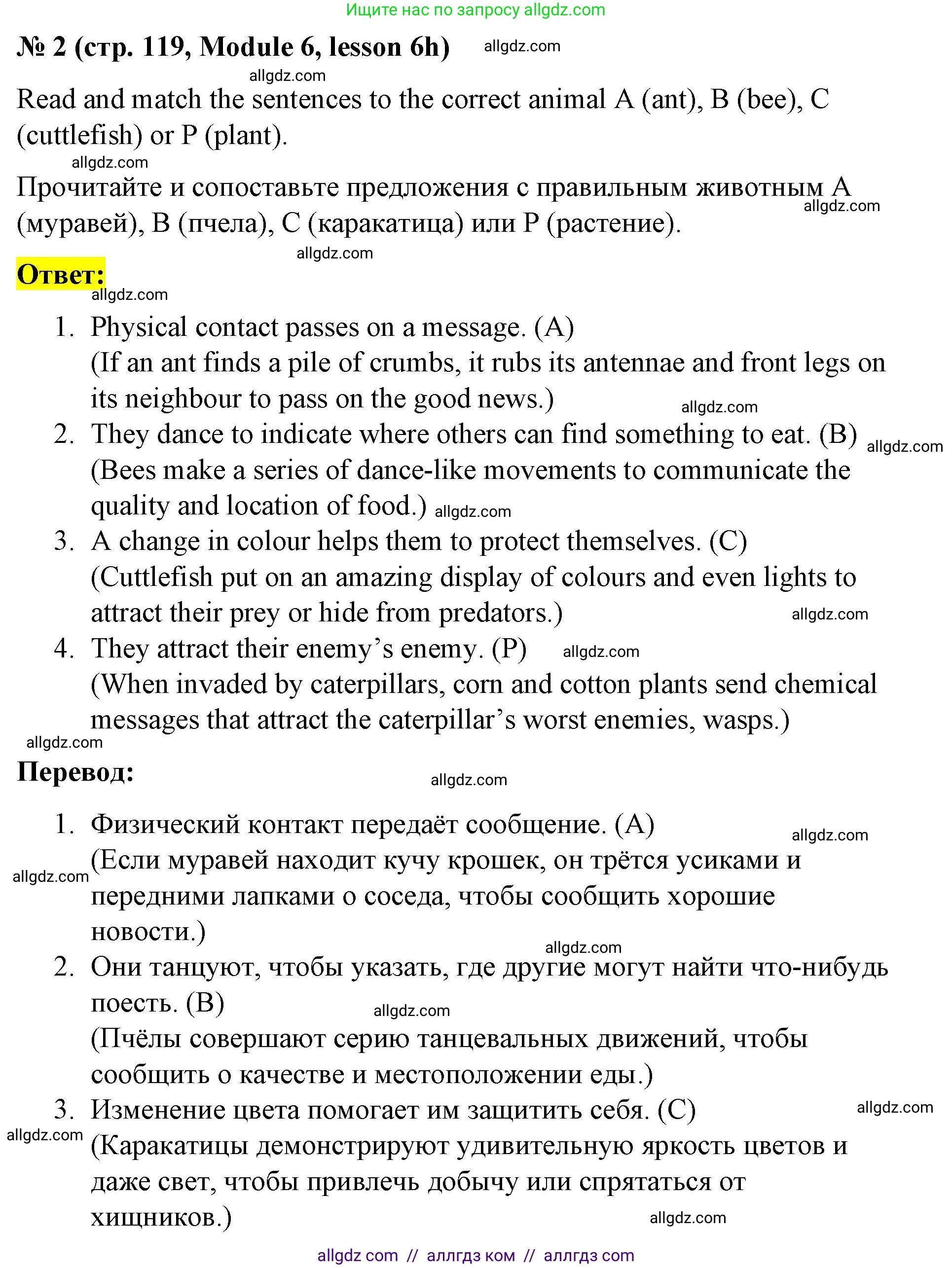 Английский язык (english), 8 класс Учебник (Student's book), авторы: Баранова Ксения Михайловна (Baranova Ksenia), Дули Дженни (Dooley Jenny), Копылова Виктория Викторовна (Kopylova Victoria), Мильруд Радислав Петрович (Millrood Radislav), Эванс Вирджиния (Evans Virginia), издательство Просвещение, Москва, 2023, белого цвета, страница 119, номер 2, Решение 2023-2027
