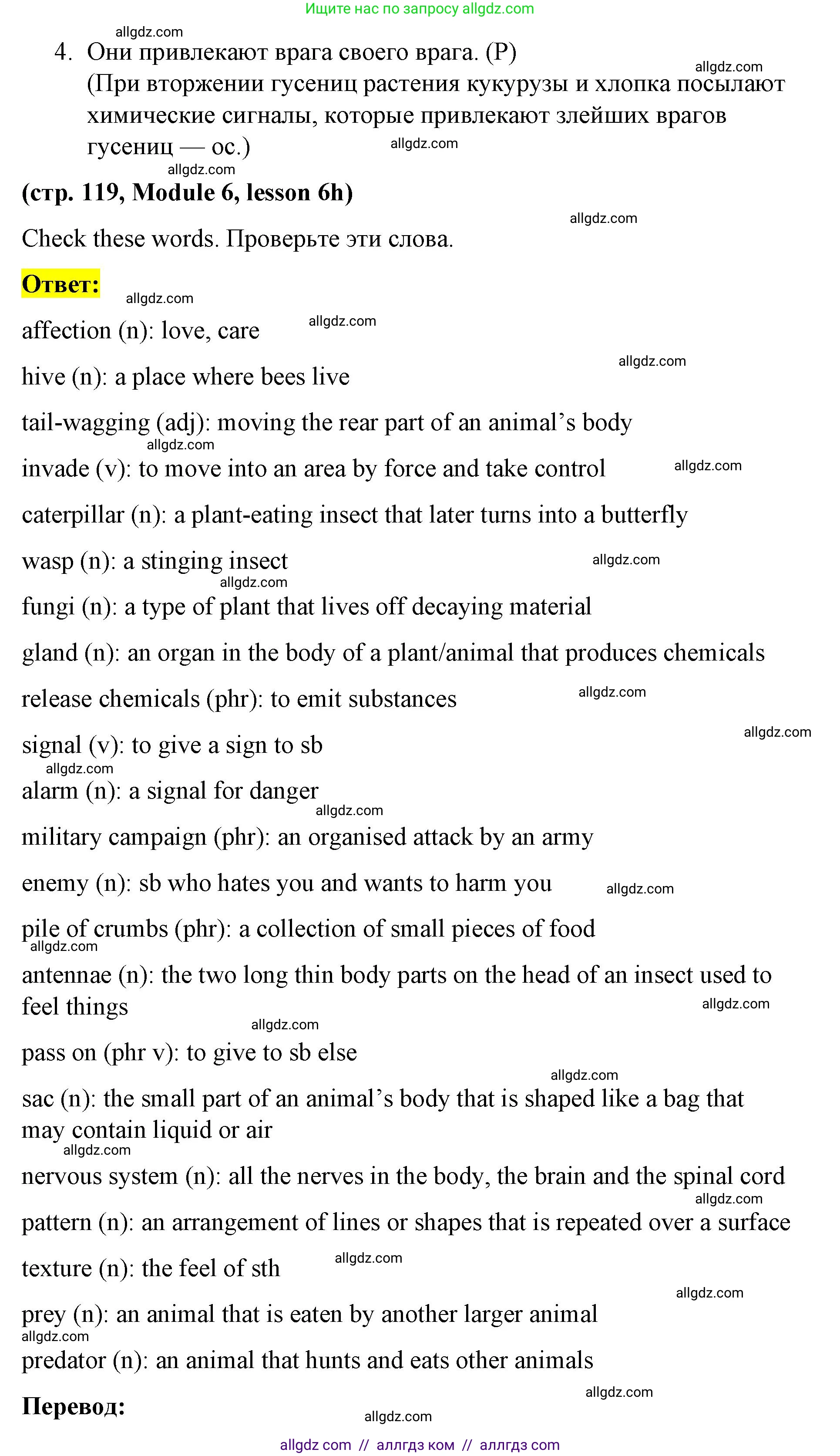 Английский язык (english), 8 класс Учебник (Student's book), авторы: Баранова Ксения Михайловна (Baranova Ksenia), Дули Дженни (Dooley Jenny), Копылова Виктория Викторовна (Kopylova Victoria), Мильруд Радислав Петрович (Millrood Radislav), Эванс Вирджиния (Evans Virginia), издательство Просвещение, Москва, 2023, белого цвета, страница 119, номер 2, Решение 2023-2027 (продолжение 2)