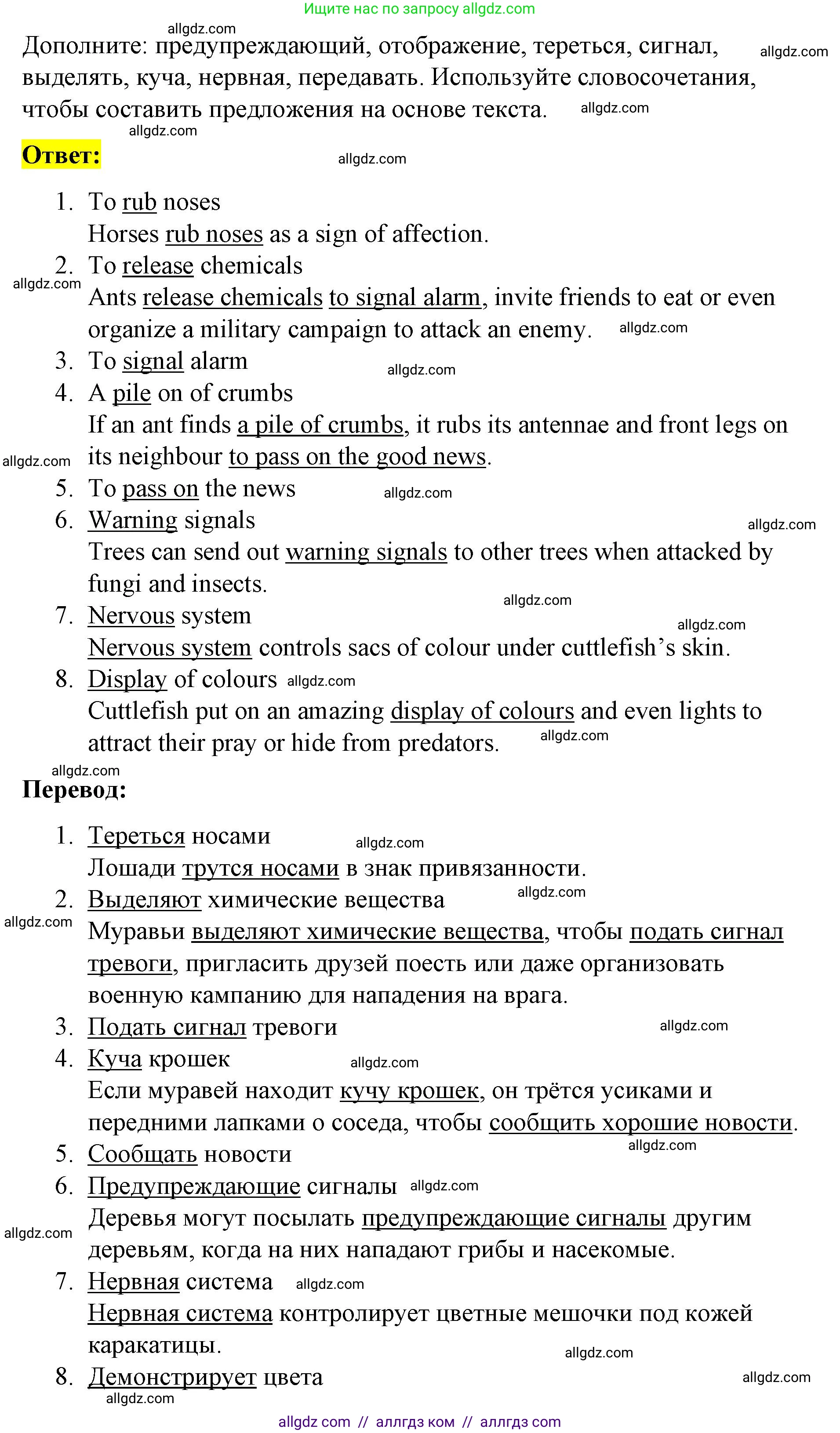Английский язык (english), 8 класс Учебник (Student's book), авторы: Баранова Ксения Михайловна (Baranova Ksenia), Дули Дженни (Dooley Jenny), Копылова Виктория Викторовна (Kopylova Victoria), Мильруд Радислав Петрович (Millrood Radislav), Эванс Вирджиния (Evans Virginia), издательство Просвещение, Москва, 2023, белого цвета, страница 119, номер 3, Решение 2023-2027 (продолжение 2)