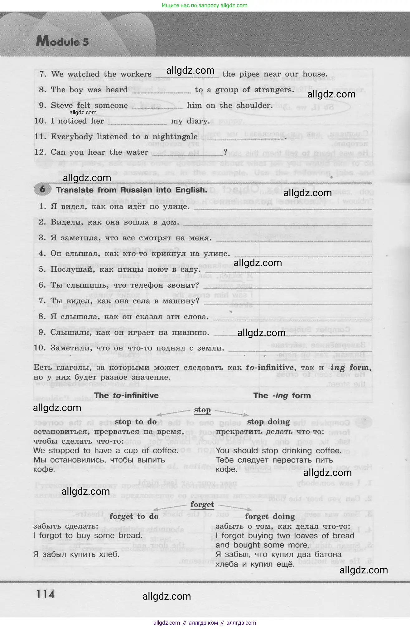 Английский язык (english), 8 класс Грамматический тренажёр, автор: Тимофеева Светлана Леонидовна, издательство Просвещение, Москва, 2024, бирюзового цвета, страница 114