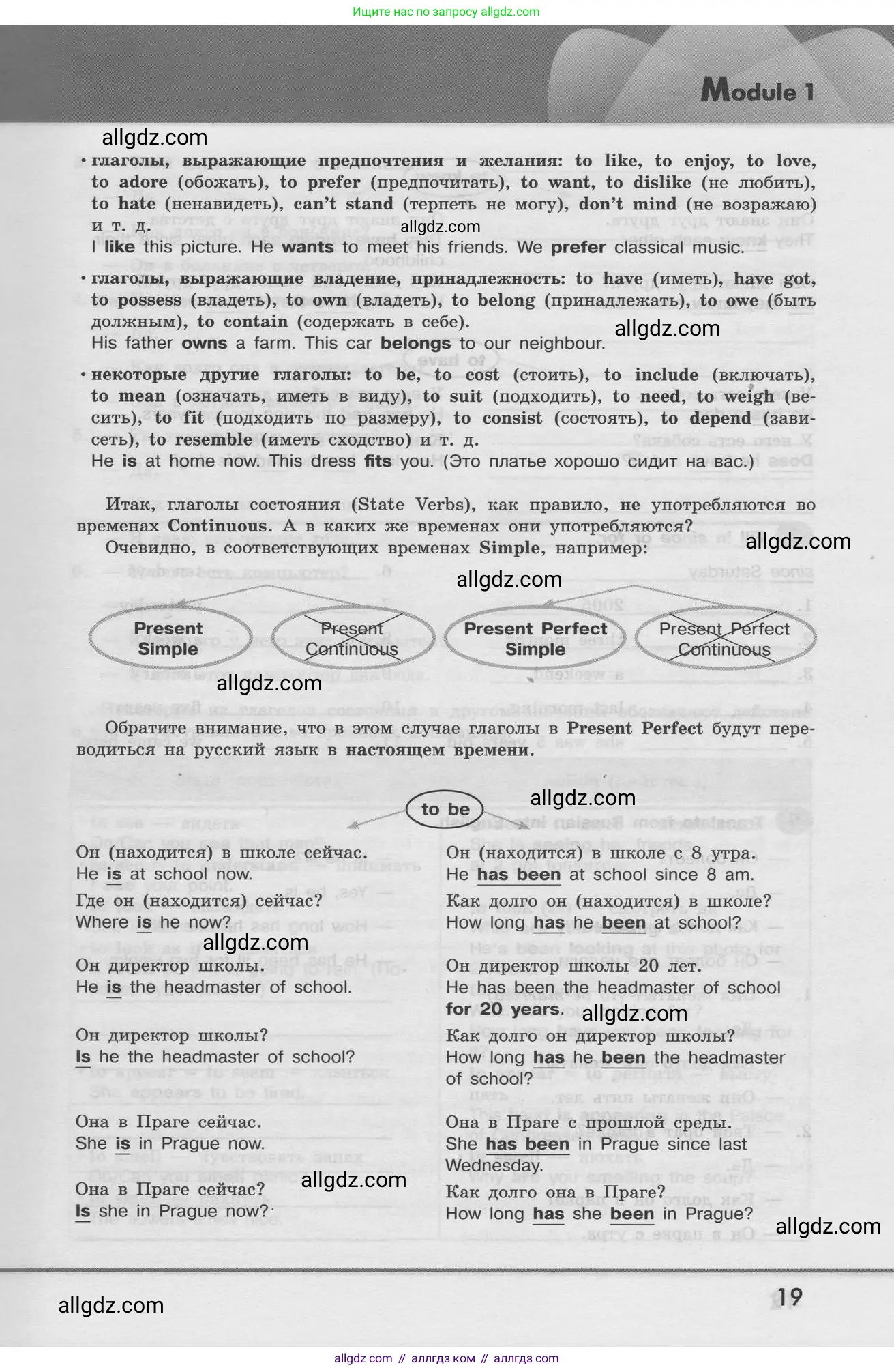 Английский язык (english), 8 класс Грамматический тренажёр, автор: Тимофеева Светлана Леонидовна, издательство Просвещение, Москва, 2024, бирюзового цвета, страница 19