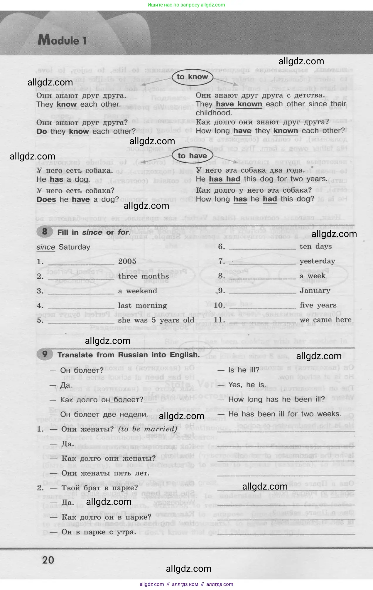 Английский язык (english), 8 класс Грамматический тренажёр, автор: Тимофеева Светлана Леонидовна, издательство Просвещение, Москва, 2024, бирюзового цвета, страница 20