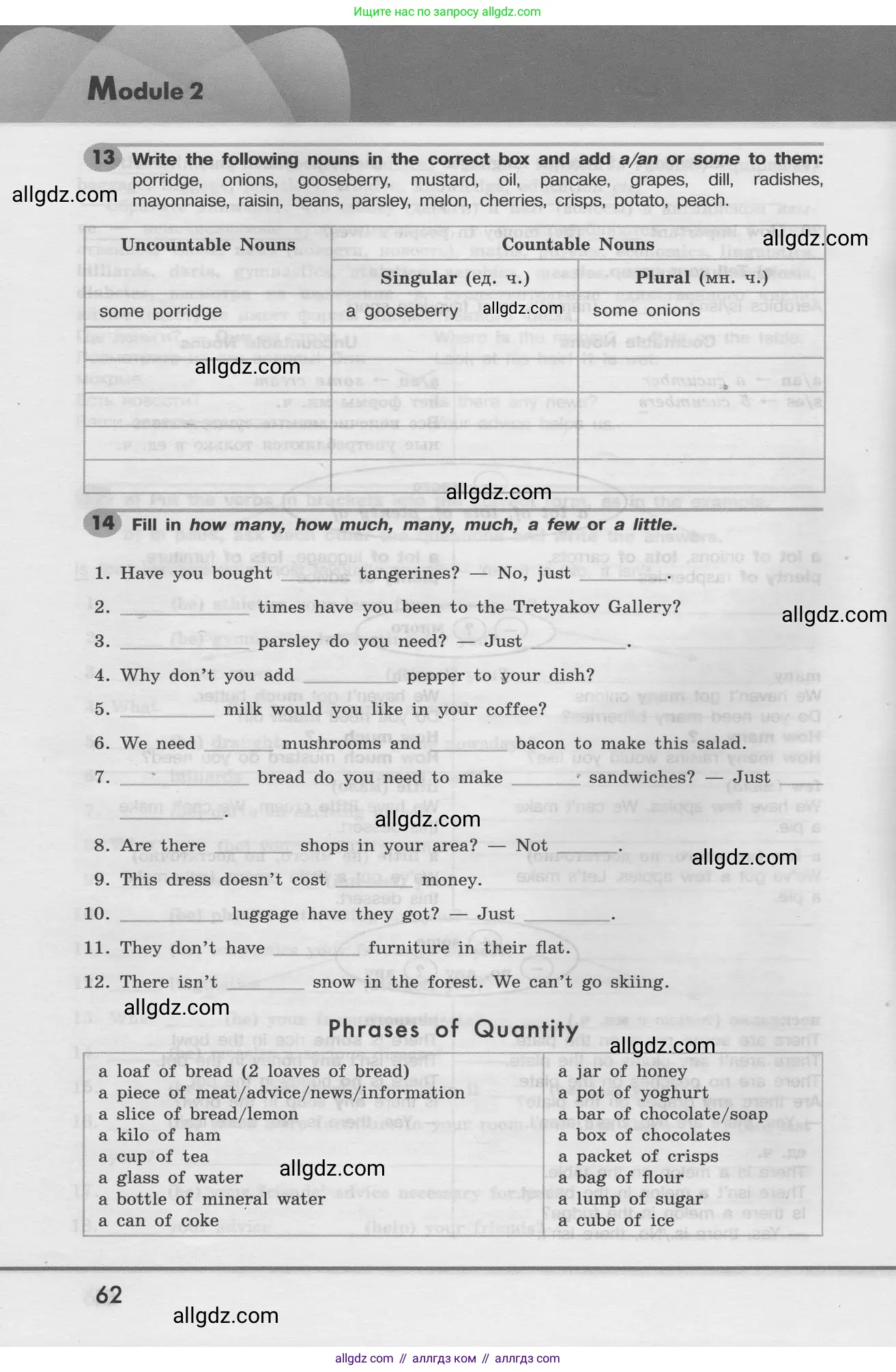 Английский язык (english), 8 класс Грамматический тренажёр, автор: Тимофеева Светлана Леонидовна, издательство Просвещение, Москва, 2024, бирюзового цвета, страница 62