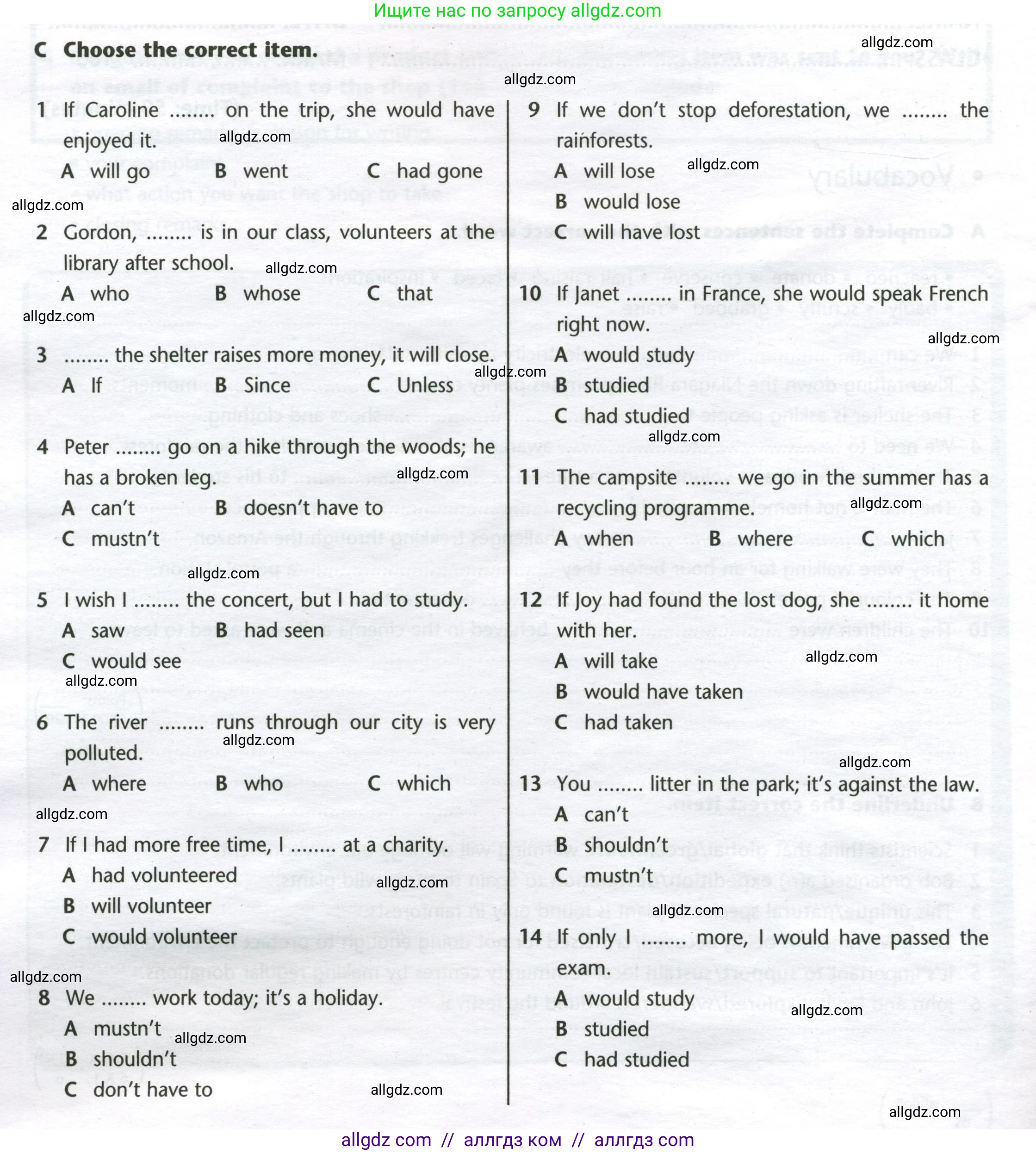 Английский язык (english), 8 класс контрольные задания (test booklet), авторы: Баранова Ксения Михайловна (Baranova Ksenia), Дули Дженни (Dooley Jenny), Мильруд Радислав Петрович (Millrood Radislav), Эванс Вирджиния (Evans Virginia), издательство Просвещение, Москва, 2024, серого цвета, страница 14, номер C, Условие