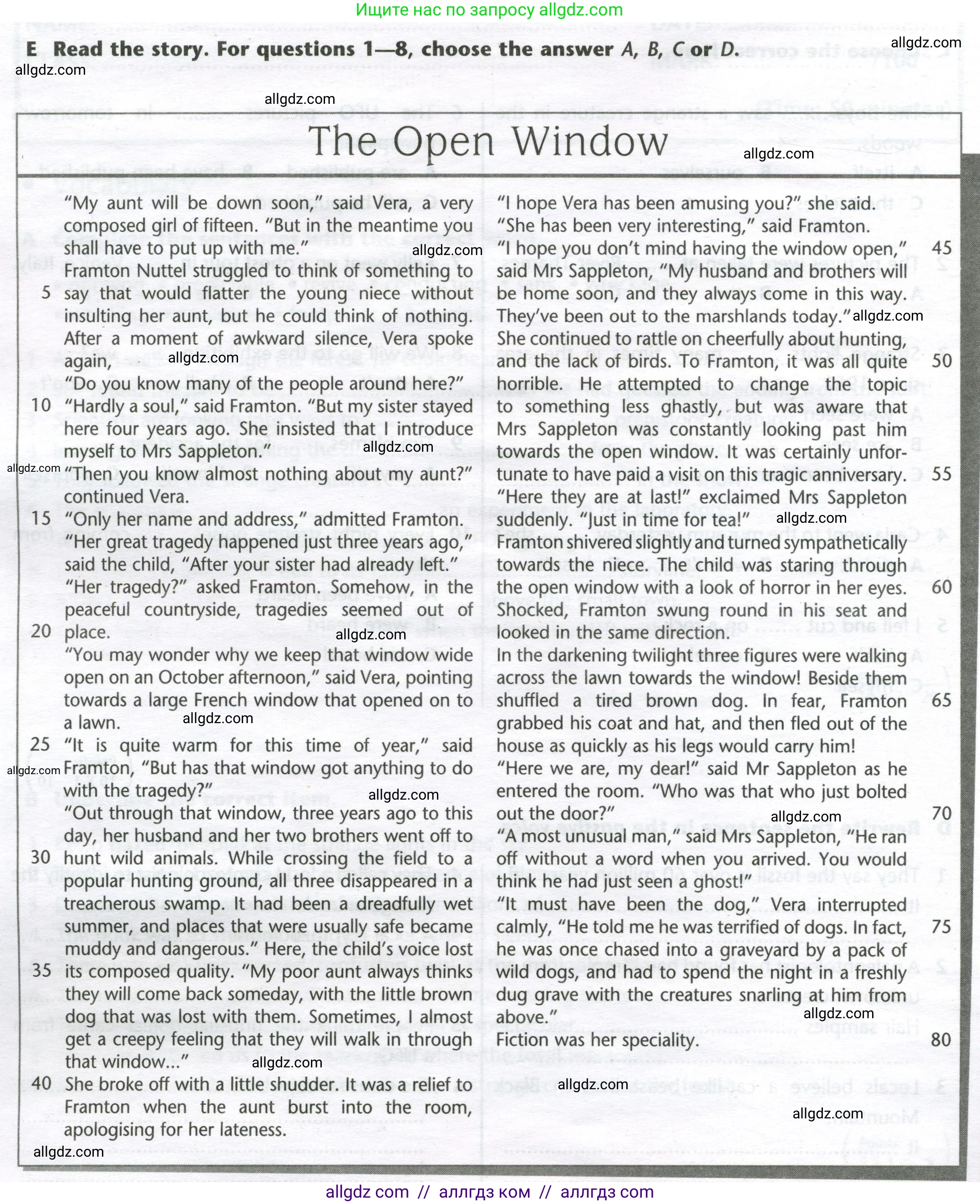 Английский язык (english), 8 класс контрольные задания (test booklet), авторы: Баранова Ксения Михайловна (Baranova Ksenia), Дули Дженни (Dooley Jenny), Мильруд Радислав Петрович (Millrood Radislav), Эванс Вирджиния (Evans Virginia), издательство Просвещение, Москва, 2024, серого цвета, страница 20, номер E, Условие