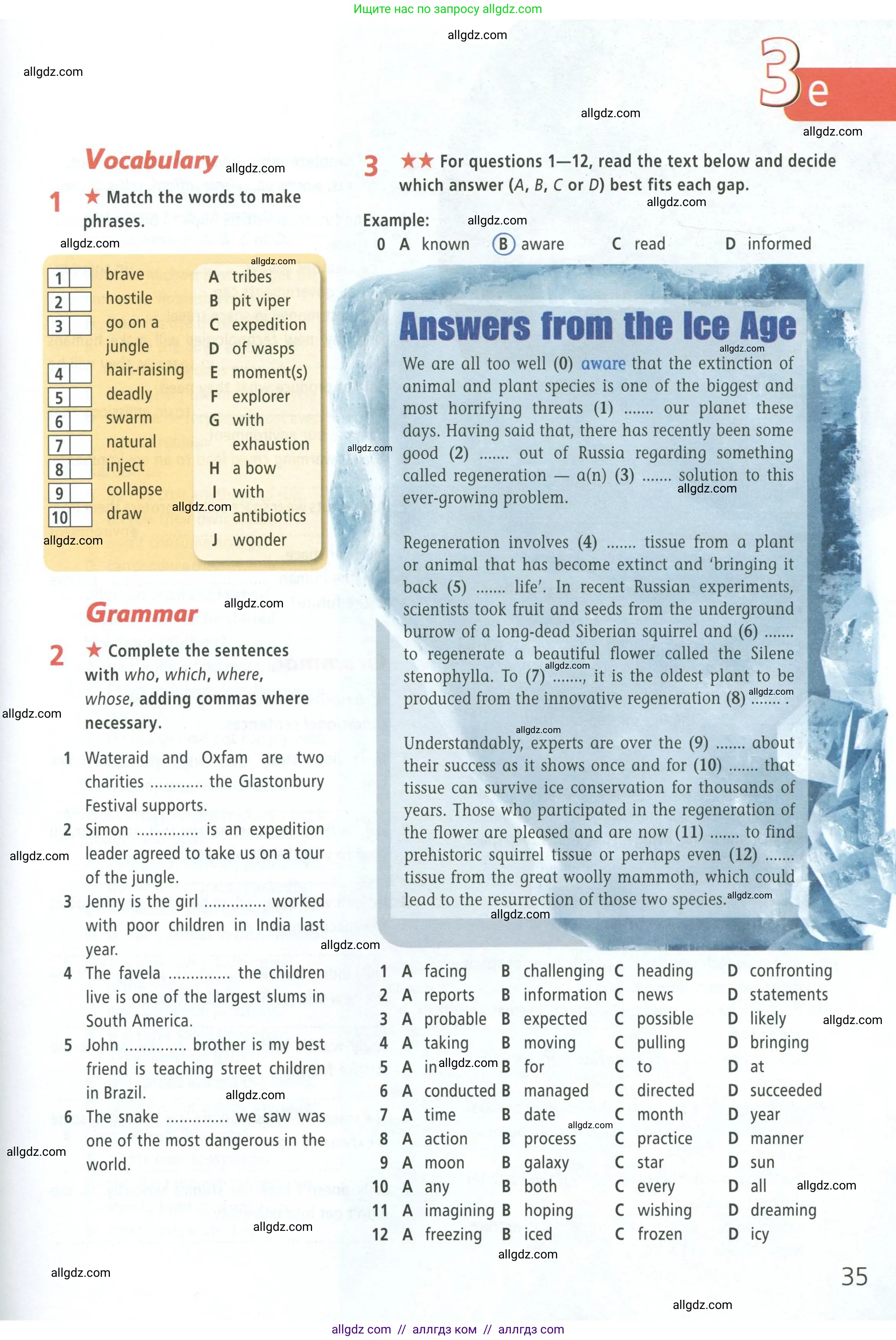 Английский язык (english), 8 класс Рабочая тетрадь (workbook), авторы: Баранова Ксения Михайловна (Baranova Ksenia), Дули Дженни (Dooley Jenny), Копылова Виктория Викторовна (Kopylova Victoria), Мильруд Радислав Петрович (Millrood Radislav), Эванс Вирджиния (Evans Virginia), издательство Просвещение, Москва, 2023, белого цвета, страница 35