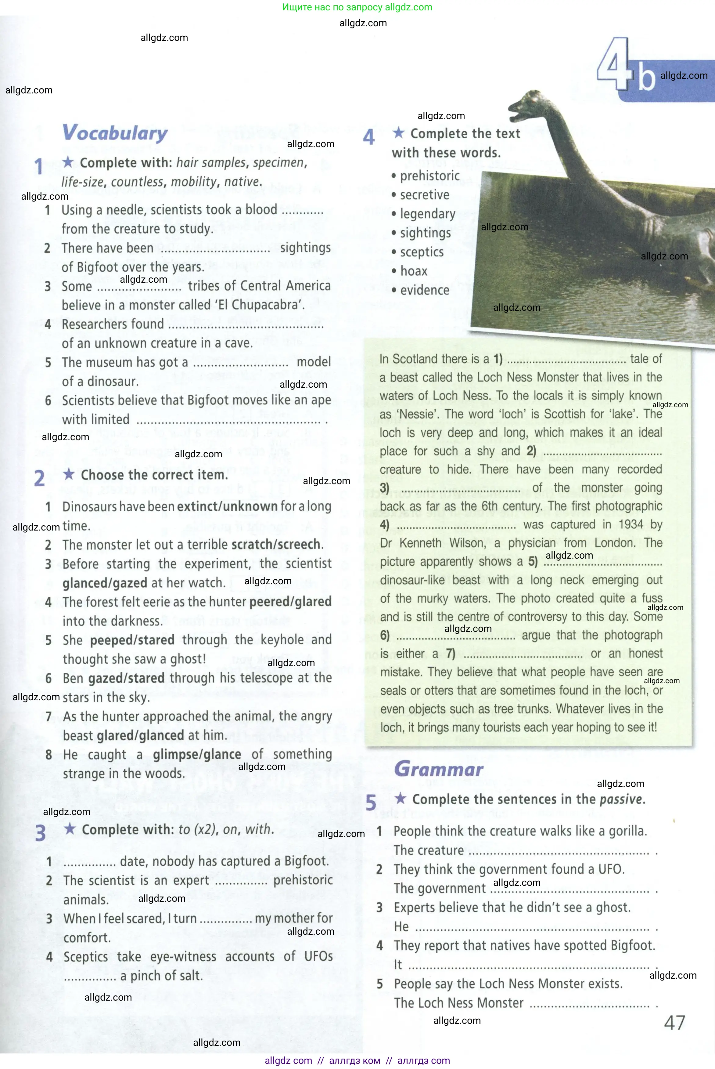 Английский язык (english), 8 класс Рабочая тетрадь (workbook), авторы: Баранова Ксения Михайловна (Baranova Ksenia), Дули Дженни (Dooley Jenny), Копылова Виктория Викторовна (Kopylova Victoria), Мильруд Радислав Петрович (Millrood Radislav), Эванс Вирджиния (Evans Virginia), издательство Просвещение, Москва, 2023, белого цвета, страница 47