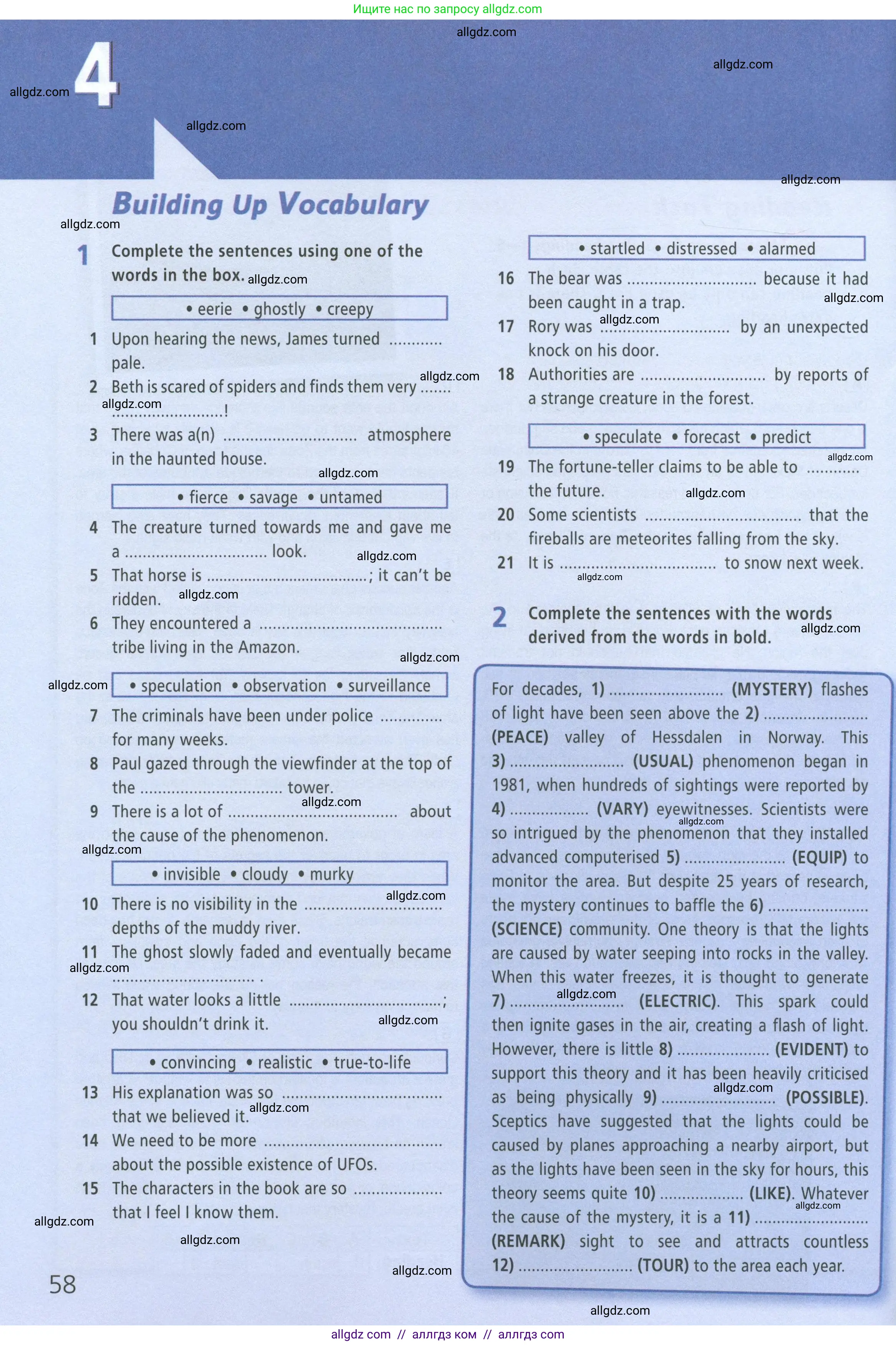 Английский язык (english), 8 класс Рабочая тетрадь (workbook), авторы: Баранова Ксения Михайловна (Baranova Ksenia), Дули Дженни (Dooley Jenny), Копылова Виктория Викторовна (Kopylova Victoria), Мильруд Радислав Петрович (Millrood Radislav), Эванс Вирджиния (Evans Virginia), издательство Просвещение, Москва, 2023, белого цвета, страница 58