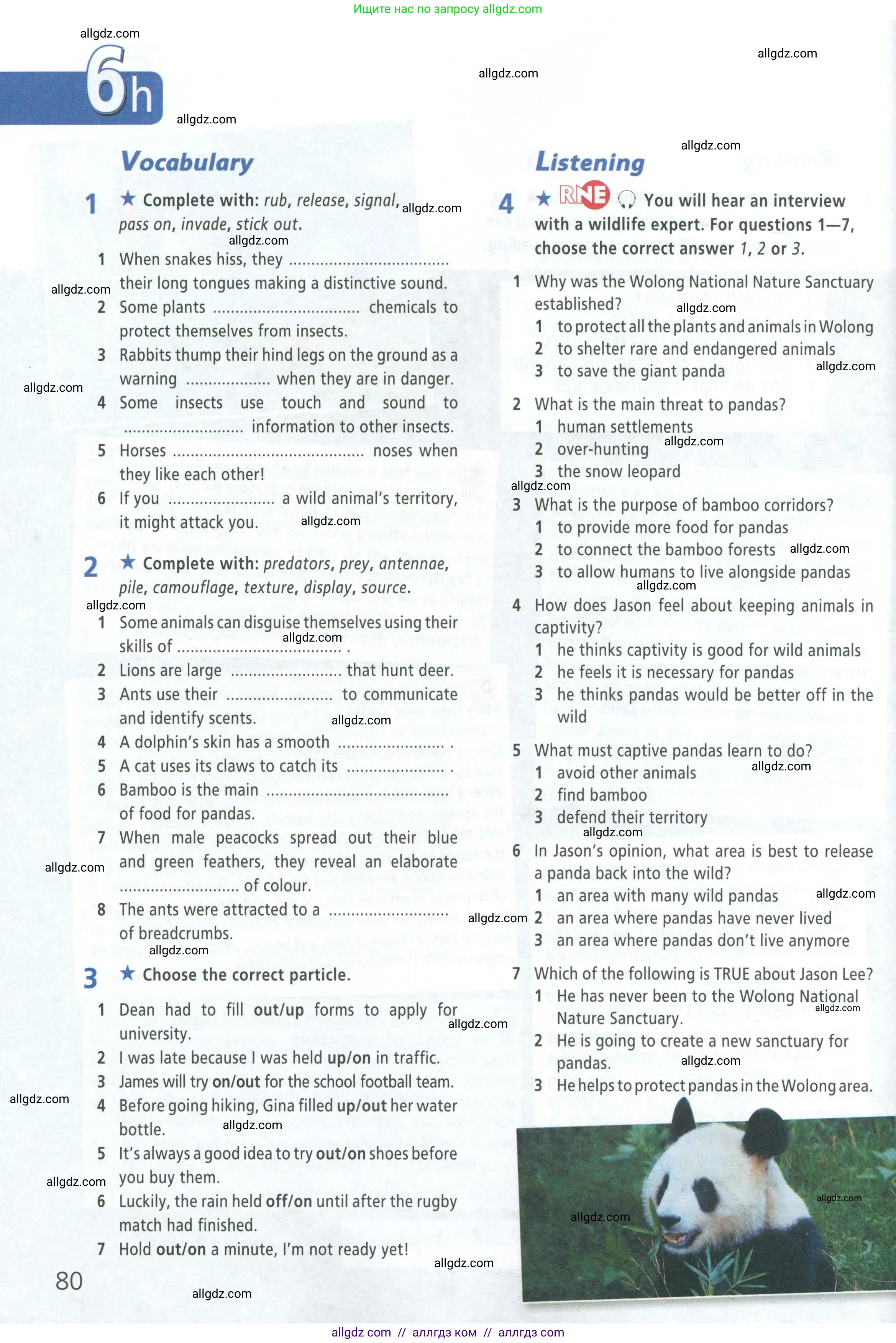 Английский язык (english), 8 класс Рабочая тетрадь (workbook), авторы: Баранова Ксения Михайловна (Baranova Ksenia), Дули Дженни (Dooley Jenny), Копылова Виктория Викторовна (Kopylova Victoria), Мильруд Радислав Петрович (Millrood Radislav), Эванс Вирджиния (Evans Virginia), издательство Просвещение, Москва, 2023, белого цвета, страница 80