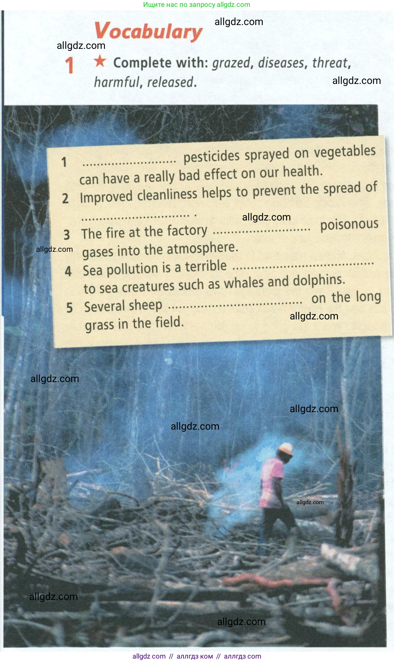 Английский язык (english), 8 класс Рабочая тетрадь (workbook), авторы: Баранова Ксения Михайловна (Baranova Ksenia), Дули Дженни (Dooley Jenny), Копылова Виктория Викторовна (Kopylova Victoria), Мильруд Радислав Петрович (Millrood Radislav), Эванс Вирджиния (Evans Virginia), издательство Просвещение, Москва, 2023, белого цвета, страница 38, номер 1, Условие 2023-2027