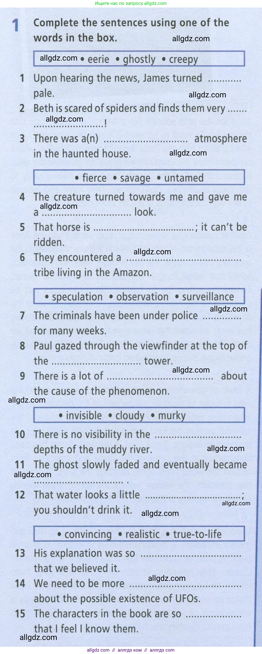 Английский язык (english), 8 класс Рабочая тетрадь (workbook), авторы: Баранова Ксения Михайловна (Baranova Ksenia), Дули Дженни (Dooley Jenny), Копылова Виктория Викторовна (Kopylova Victoria), Мильруд Радислав Петрович (Millrood Radislav), Эванс Вирджиния (Evans Virginia), издательство Просвещение, Москва, 2023, белого цвета, страница 58, номер 1, Условие 2023-2027