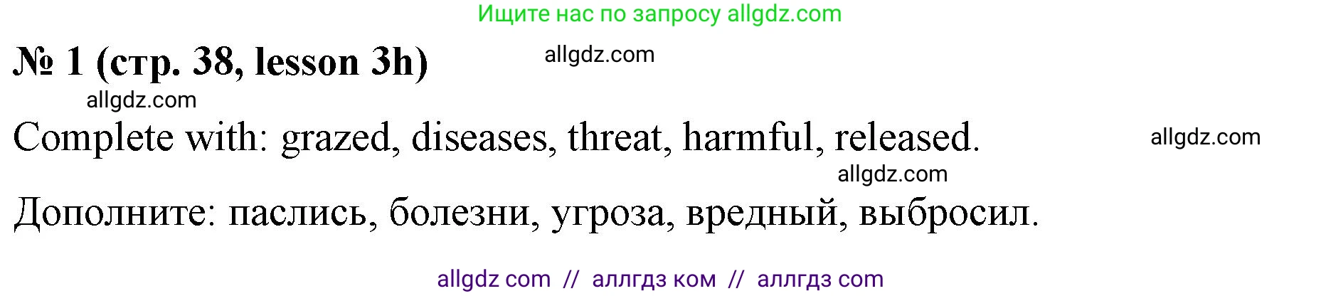 Английский язык (english), 8 класс Рабочая тетрадь (workbook), авторы: Баранова Ксения Михайловна (Baranova Ksenia), Дули Дженни (Dooley Jenny), Копылова Виктория Викторовна (Kopylova Victoria), Мильруд Радислав Петрович (Millrood Radislav), Эванс Вирджиния (Evans Virginia), издательство Просвещение, Москва, 2023, белого цвета, страница 38, номер 1, Решение 1 (2023-2027)