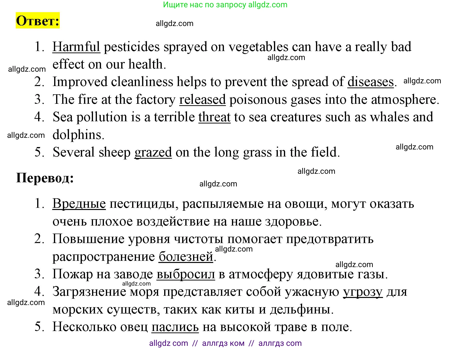Английский язык (english), 8 класс Рабочая тетрадь (workbook), авторы: Баранова Ксения Михайловна (Baranova Ksenia), Дули Дженни (Dooley Jenny), Копылова Виктория Викторовна (Kopylova Victoria), Мильруд Радислав Петрович (Millrood Radislav), Эванс Вирджиния (Evans Virginia), издательство Просвещение, Москва, 2023, белого цвета, страница 38, номер 1, Решение 1 (2023-2027) (продолжение 2)