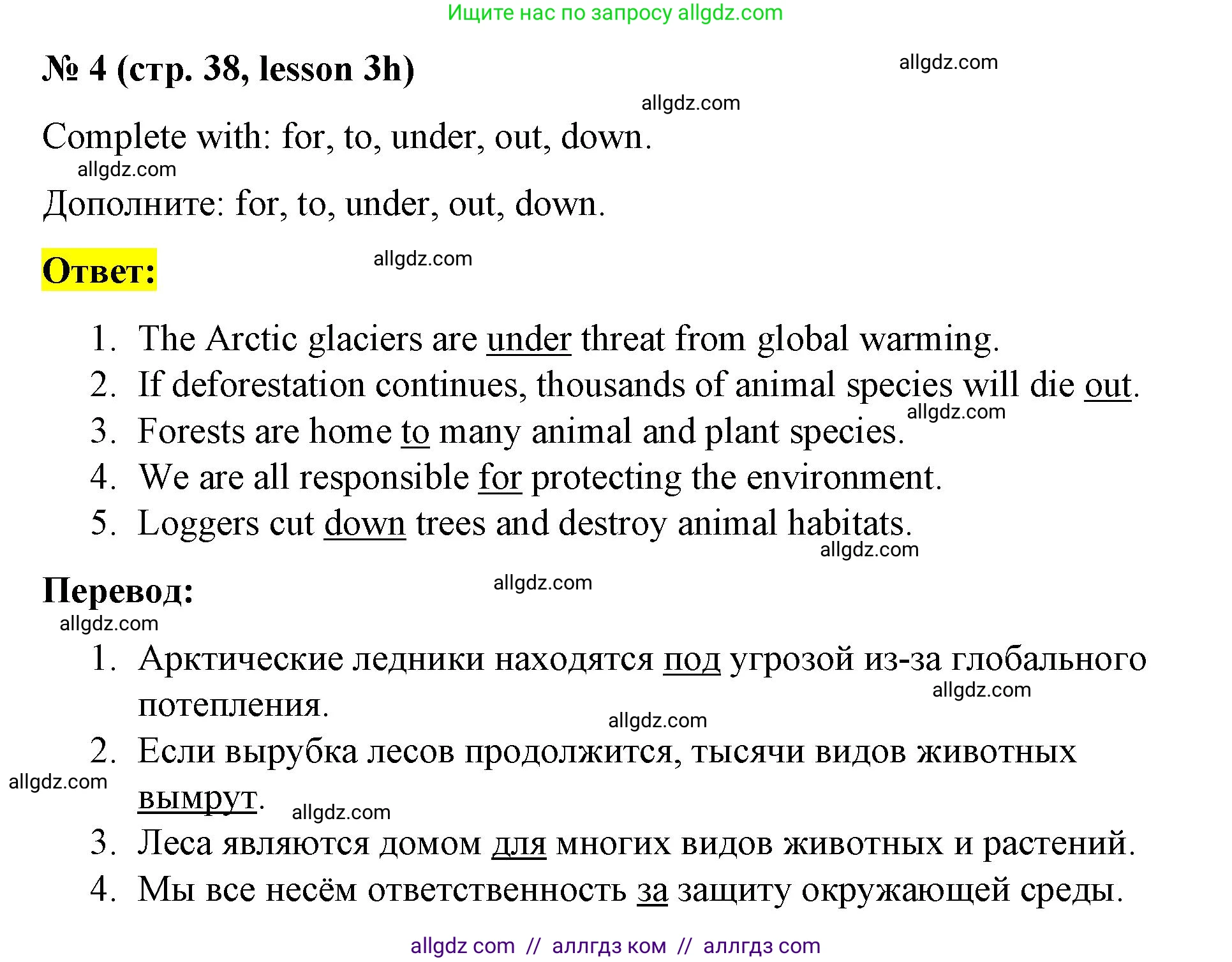 Английский язык (english), 8 класс Рабочая тетрадь (workbook), авторы: Баранова Ксения Михайловна (Baranova Ksenia), Дули Дженни (Dooley Jenny), Копылова Виктория Викторовна (Kopylova Victoria), Мильруд Радислав Петрович (Millrood Radislav), Эванс Вирджиния (Evans Virginia), издательство Просвещение, Москва, 2023, белого цвета, страница 38, номер 4, Решение 1 (2023-2027)