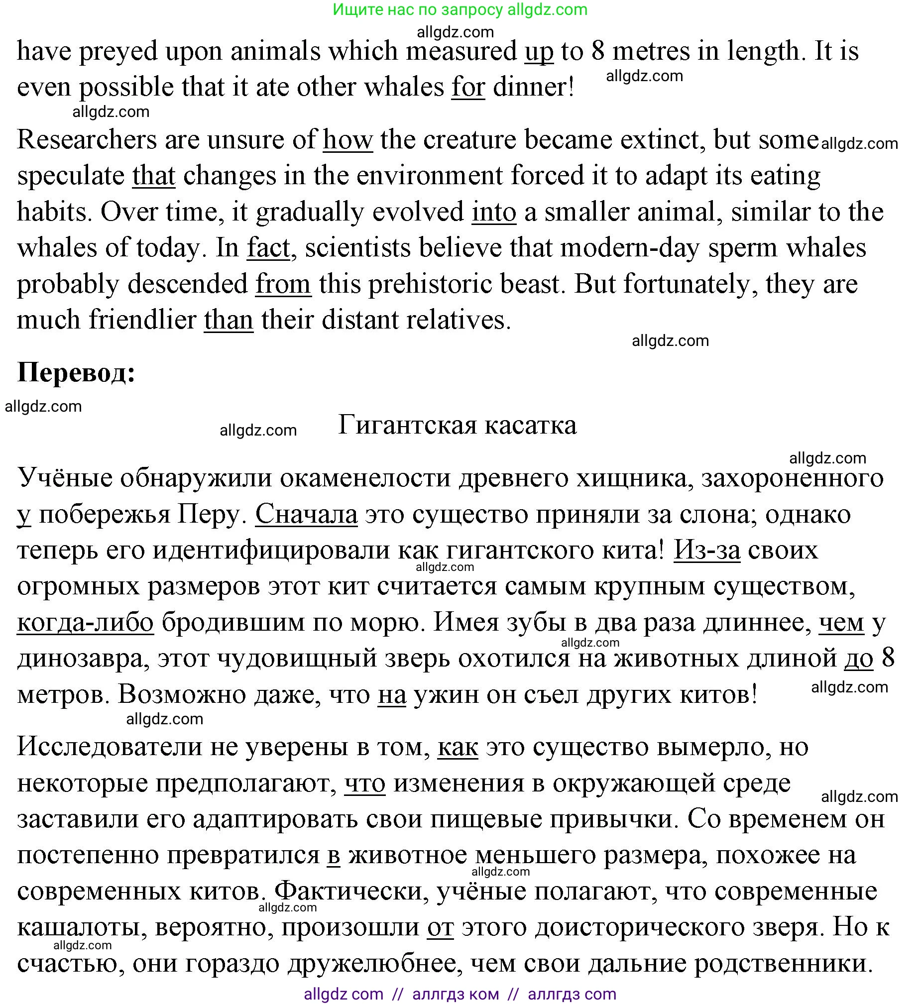 Английский язык (english), 8 класс Рабочая тетрадь (workbook), авторы: Баранова Ксения Михайловна (Baranova Ksenia), Дули Дженни (Dooley Jenny), Копылова Виктория Викторовна (Kopylova Victoria), Мильруд Радислав Петрович (Millrood Radislav), Эванс Вирджиния (Evans Virginia), издательство Просвещение, Москва, 2023, белого цвета, страница 55, номер 1, Решение 1 (2023-2027) (продолжение 2)