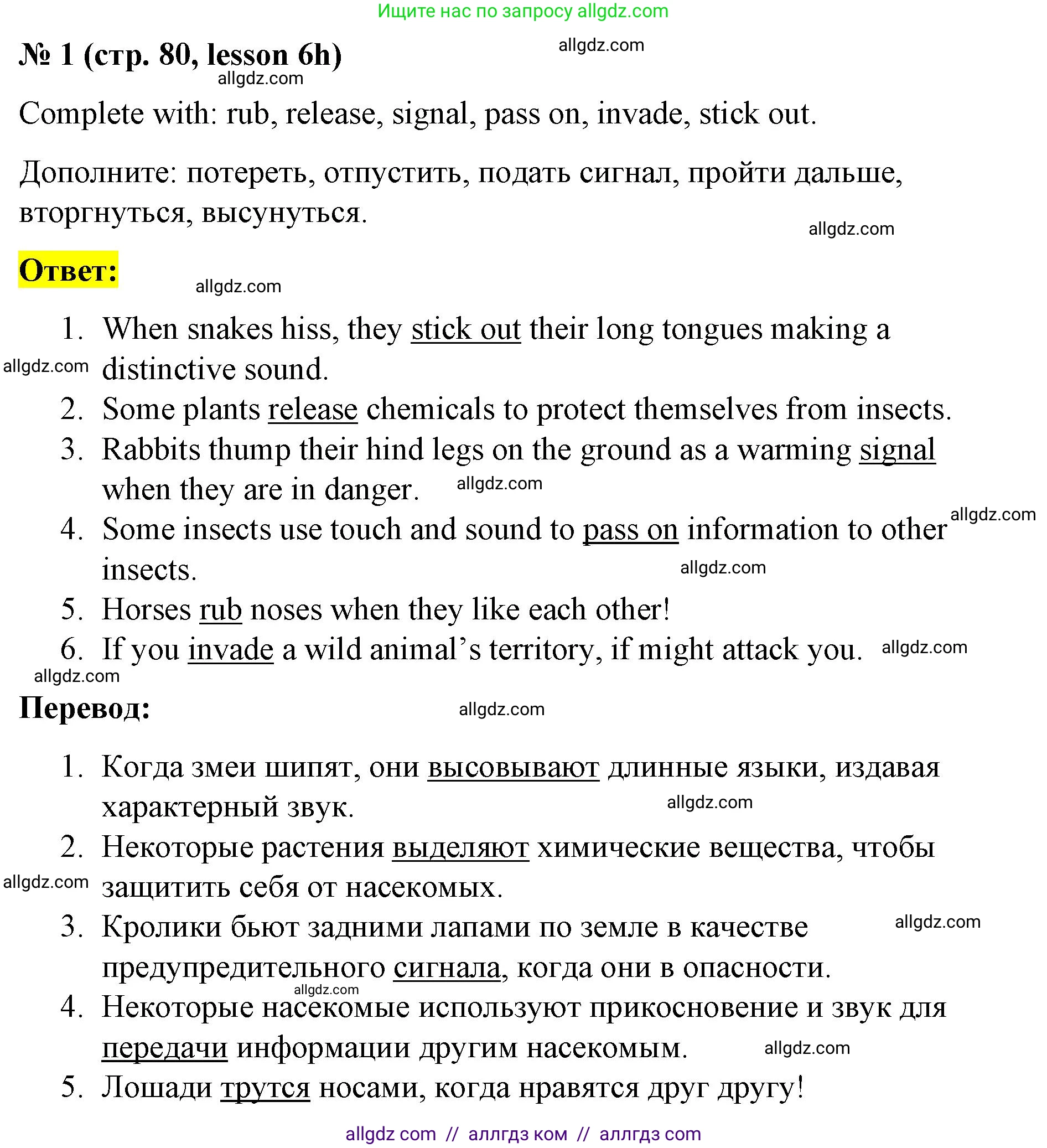 Английский язык (english), 8 класс Рабочая тетрадь (workbook), авторы: Баранова Ксения Михайловна (Baranova Ksenia), Дули Дженни (Dooley Jenny), Копылова Виктория Викторовна (Kopylova Victoria), Мильруд Радислав Петрович (Millrood Radislav), Эванс Вирджиния (Evans Virginia), издательство Просвещение, Москва, 2023, белого цвета, страница 80, номер 1, Решение 1 (2023-2027)