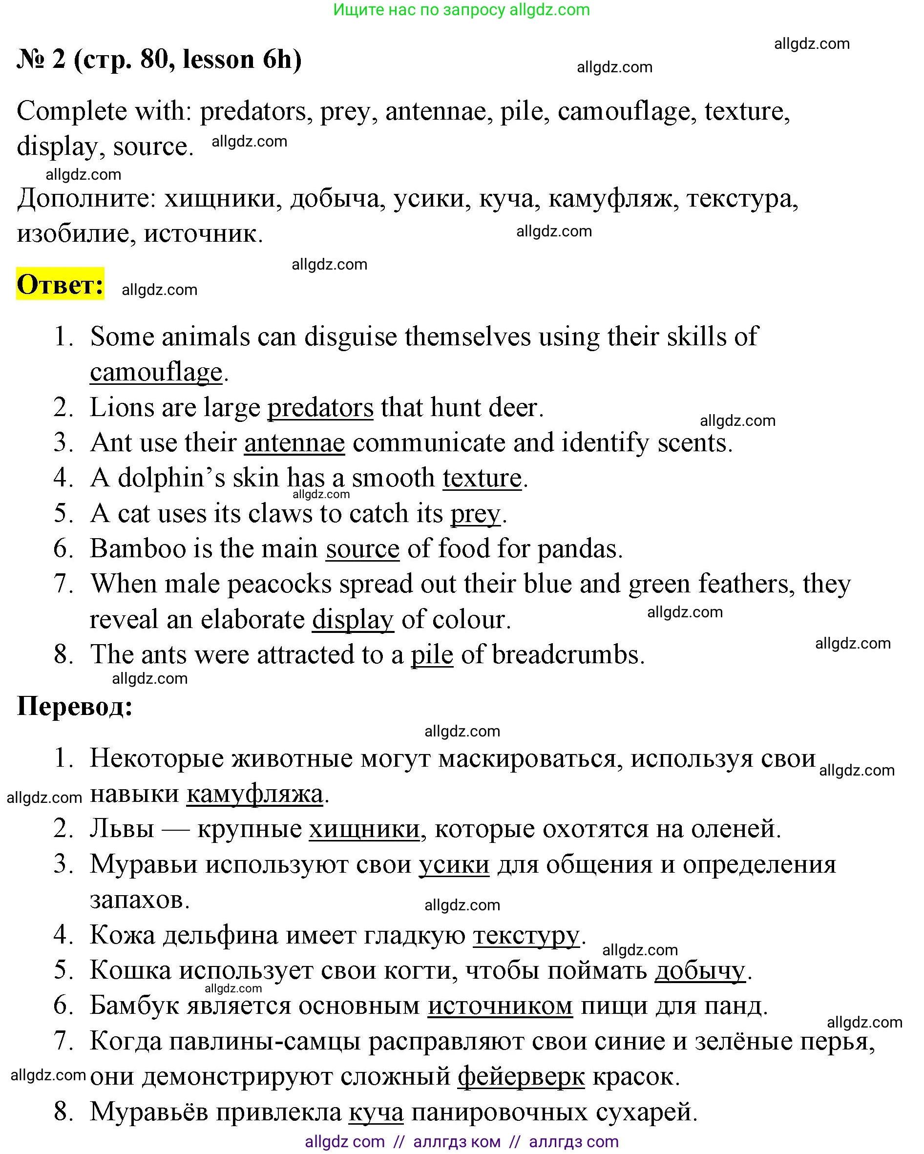 Английский язык (english), 8 класс Рабочая тетрадь (workbook), авторы: Баранова Ксения Михайловна (Baranova Ksenia), Дули Дженни (Dooley Jenny), Копылова Виктория Викторовна (Kopylova Victoria), Мильруд Радислав Петрович (Millrood Radislav), Эванс Вирджиния (Evans Virginia), издательство Просвещение, Москва, 2023, белого цвета, страница 80, номер 2, Решение 1 (2023-2027)
