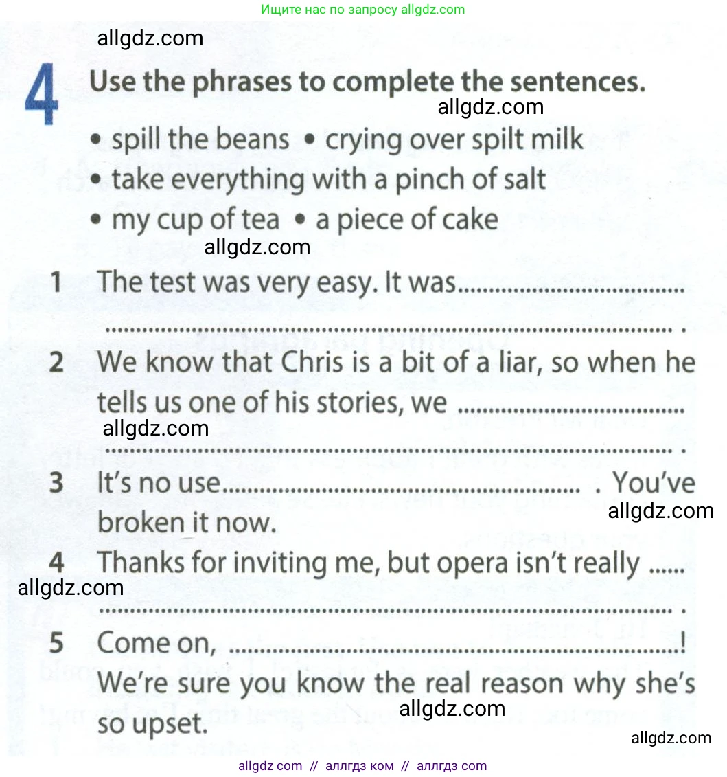 Английский язык (english), 8 класс Рабочая тетрадь (workbook), авторы: Ваулина Юлия Евгеньевна (Vaulina Julia), Дули Дженни (Dooley Jenny), Подоляко Ольга Евгеньевна (Podolyako Olga), Эванс Вирджиния (Evans Virginia), издательство Просвещение, Москва, 2023, бирюзового цвета, страница 17, номер 4, Условие 2024