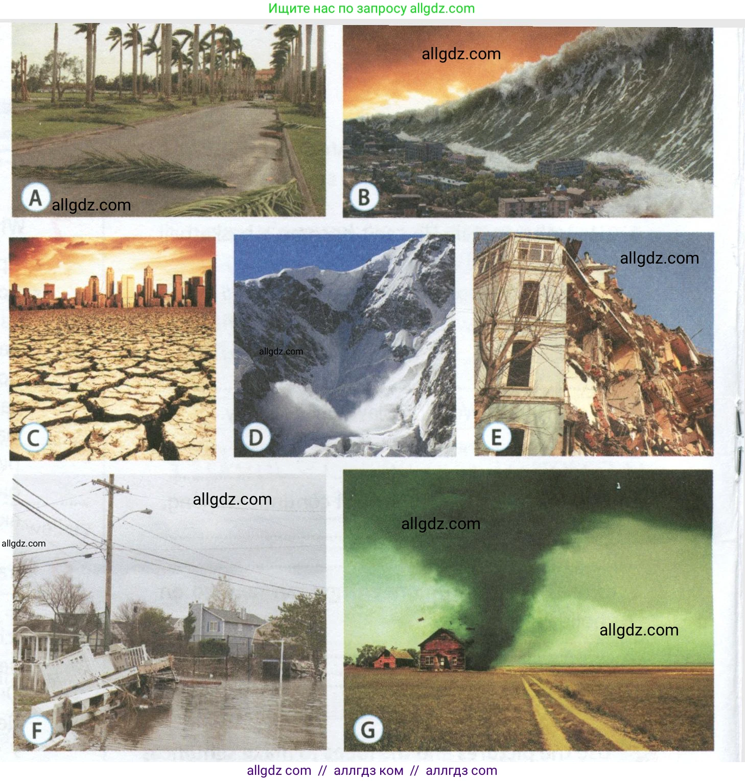 Английский язык (english), 8 класс Рабочая тетрадь (workbook), авторы: Ваулина Юлия Евгеньевна (Vaulina Julia), Дули Дженни (Dooley Jenny), Подоляко Ольга Евгеньевна (Podolyako Olga), Эванс Вирджиния (Evans Virginia), издательство Просвещение, Москва, 2023, бирюзового цвета, страница 44, номер 1, Условие 2024 (продолжение 2)