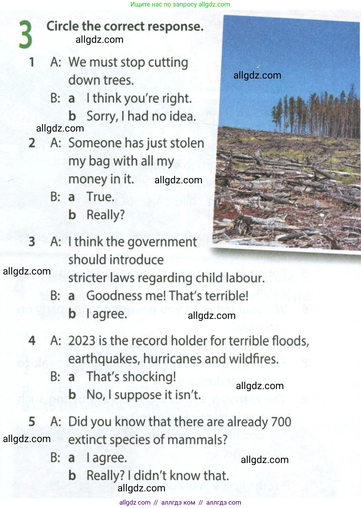 Английский язык (english), 8 класс Рабочая тетрадь (workbook), авторы: Ваулина Юлия Евгеньевна (Vaulina Julia), Дули Дженни (Dooley Jenny), Подоляко Ольга Евгеньевна (Podolyako Olga), Эванс Вирджиния (Evans Virginia), издательство Просвещение, Москва, 2023, бирюзового цвета, страница 45, номер 3, Условие 2024