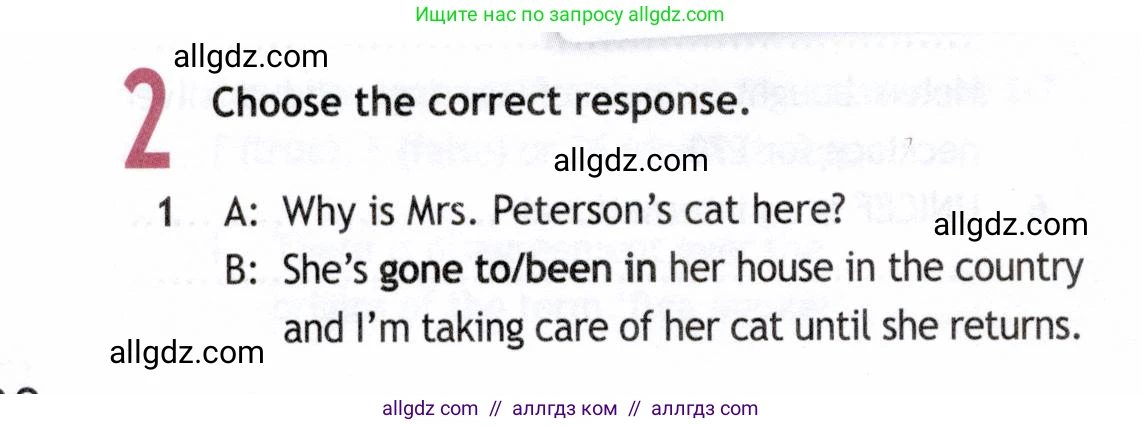 Английский язык (english), 8 класс Рабочая тетрадь (workbook), авторы: Ваулина Юлия Евгеньевна (Vaulina Julia), Дули Дженни (Dooley Jenny), Подоляко Ольга Евгеньевна (Podolyako Olga), Эванс Вирджиния (Evans Virginia), издательство Просвещение, Москва, 2023, бирюзового цвета, страница 22, номер 2, Условие 2019-2022