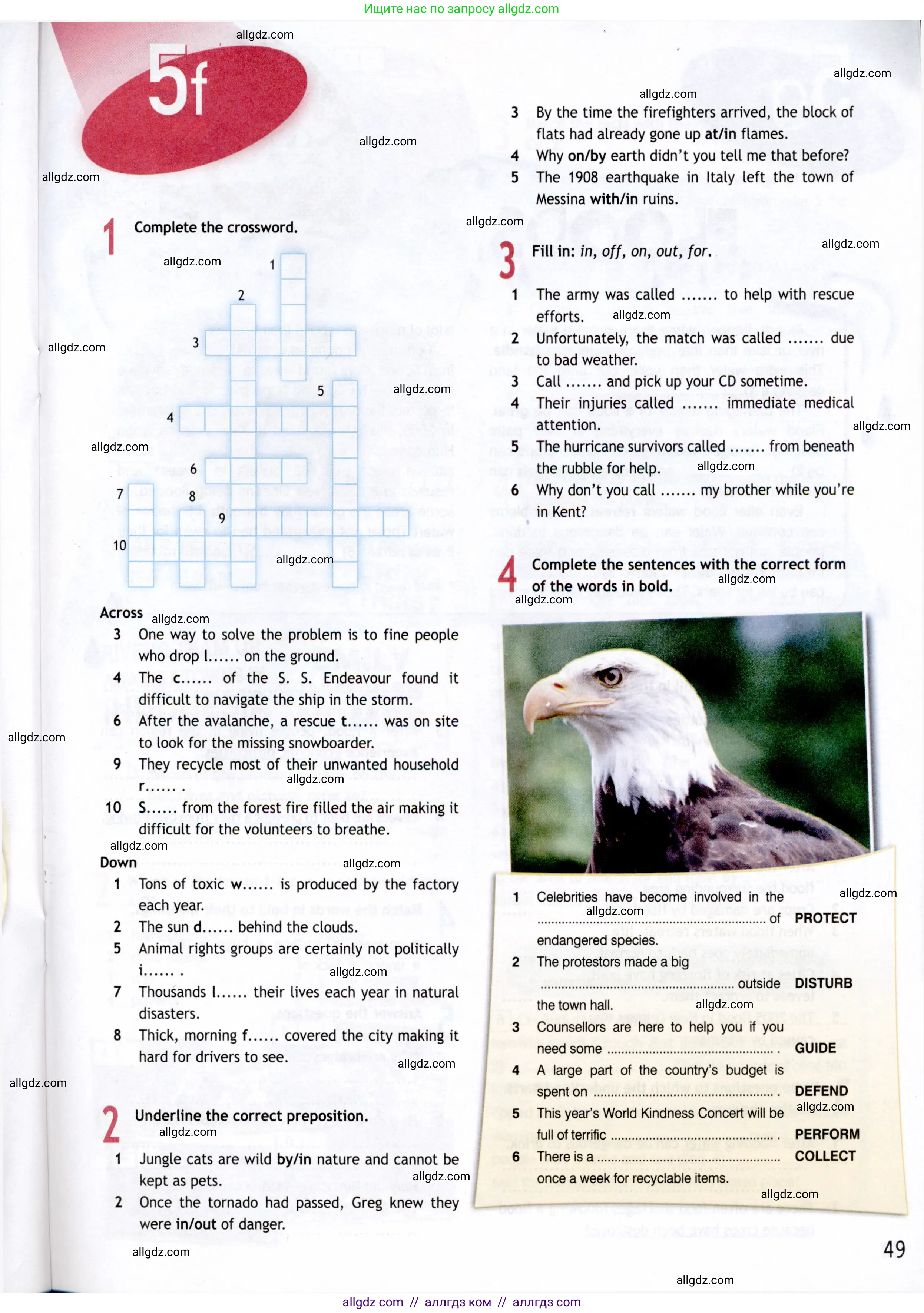 Английский язык (english), 8 класс Рабочая тетрадь (workbook), авторы: Ваулина Юлия Евгеньевна (Vaulina Julia), Дули Дженни (Dooley Jenny), Подоляко Ольга Евгеньевна (Podolyako Olga), Эванс Вирджиния (Evans Virginia), издательство Просвещение, Москва, 2023, бирюзового цвета, страница 49