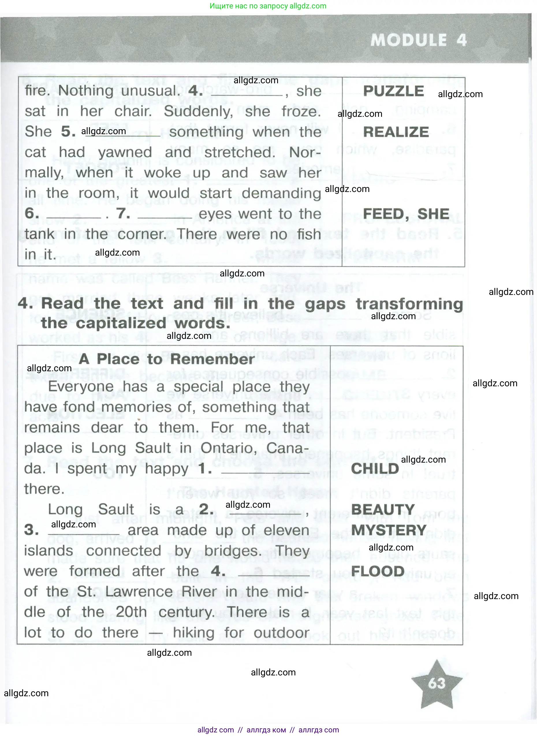 Английский язык (english), 8 класс Тренировочные упражнения в формате ОГЭ (ГИА), авторы: Комиссаров Константин Вячеславович, Кирдяева Ольга Ивановна, издательство Просвещение, Москва, 2024, белого цвета, страница 63