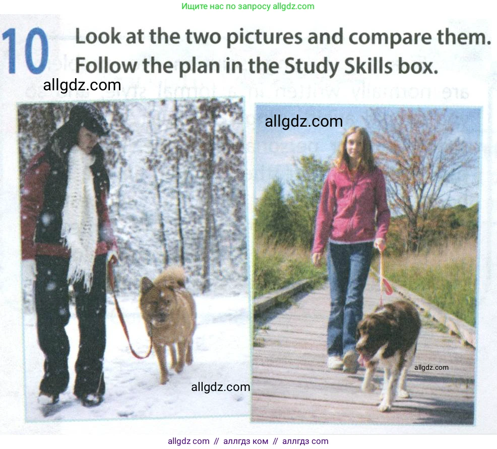 Английский язык (english), 8 класс Учебник (Student's book), авторы: Ваулина Юлия Евгеньевна (Vaulina Julia), Дули Дженни (Dooley Jenny), Подоляко Ольга Евгеньевна (Podolyako Olga), Эванс Вирджиния (Evans Virginia), издательство Просвещение, Москва, 2023, бирюзового цвета, страница 81, номер 10, Условие 2023-2027