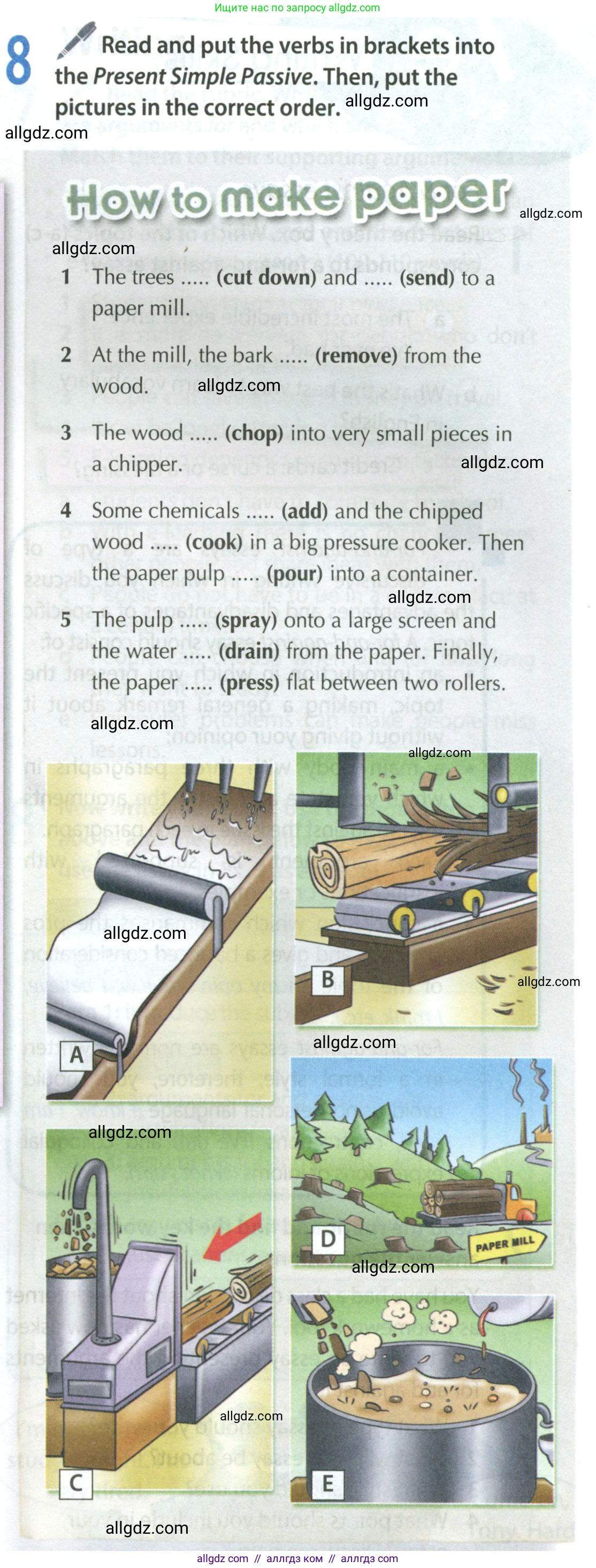 Английский язык (english), 8 класс Учебник (Student's book), авторы: Ваулина Юлия Евгеньевна (Vaulina Julia), Дули Дженни (Dooley Jenny), Подоляко Ольга Евгеньевна (Podolyako Olga), Эванс Вирджиния (Evans Virginia), издательство Просвещение, Москва, 2023, бирюзового цвета, страница 113, номер 8, Условие 2023-2027