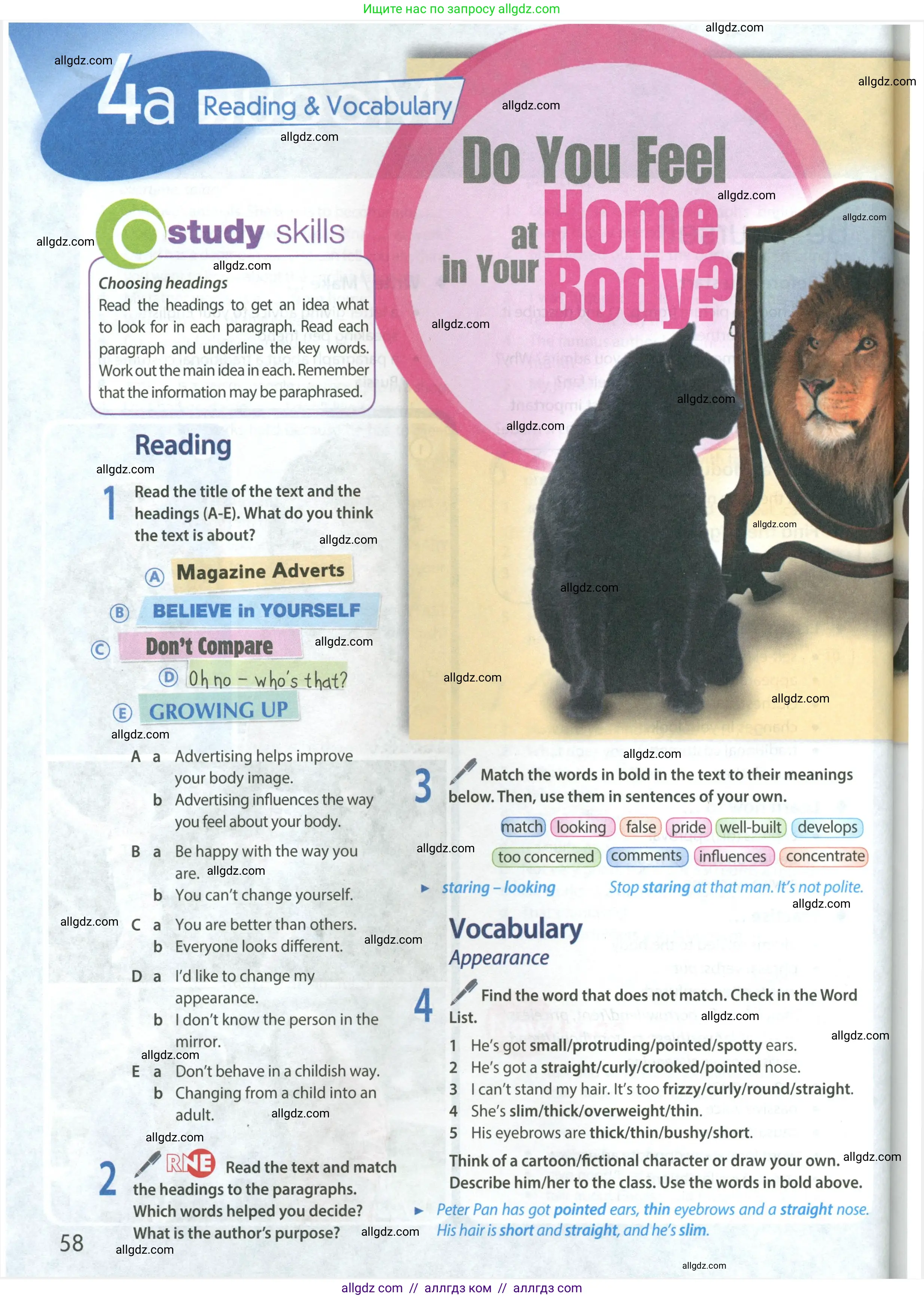 Английский язык (english), 8 класс Учебник (Student's book), авторы: Ваулина Юлия Евгеньевна (Vaulina Julia), Дули Дженни (Dooley Jenny), Подоляко Ольга Евгеньевна (Podolyako Olga), Эванс Вирджиния (Evans Virginia), издательство Просвещение, Москва, 2023, бирюзового цвета, страница 58