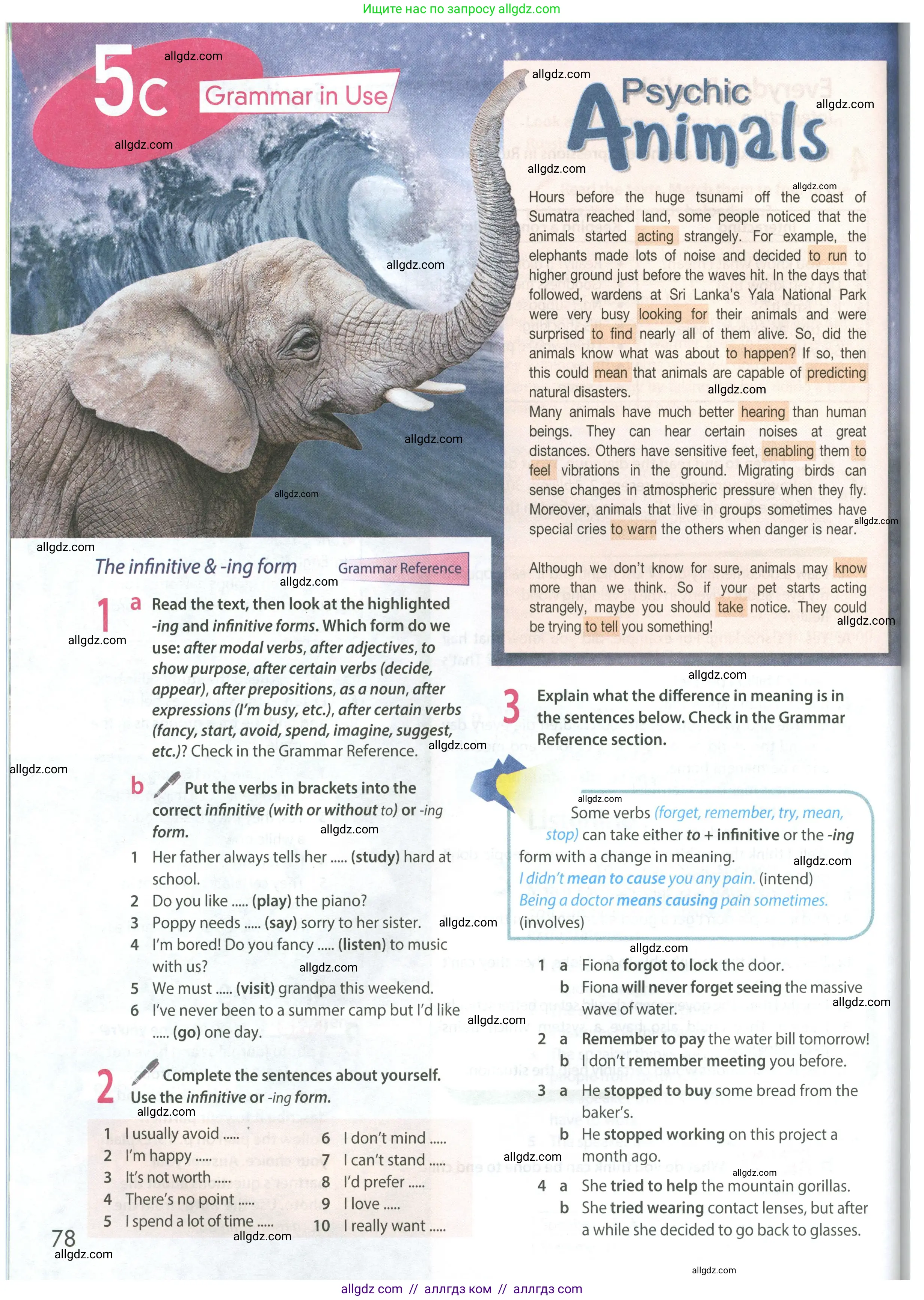 Английский язык (english), 8 класс Учебник (Student's book), авторы: Ваулина Юлия Евгеньевна (Vaulina Julia), Дули Дженни (Dooley Jenny), Подоляко Ольга Евгеньевна (Podolyako Olga), Эванс Вирджиния (Evans Virginia), издательство Просвещение, Москва, 2023, бирюзового цвета, страница 78