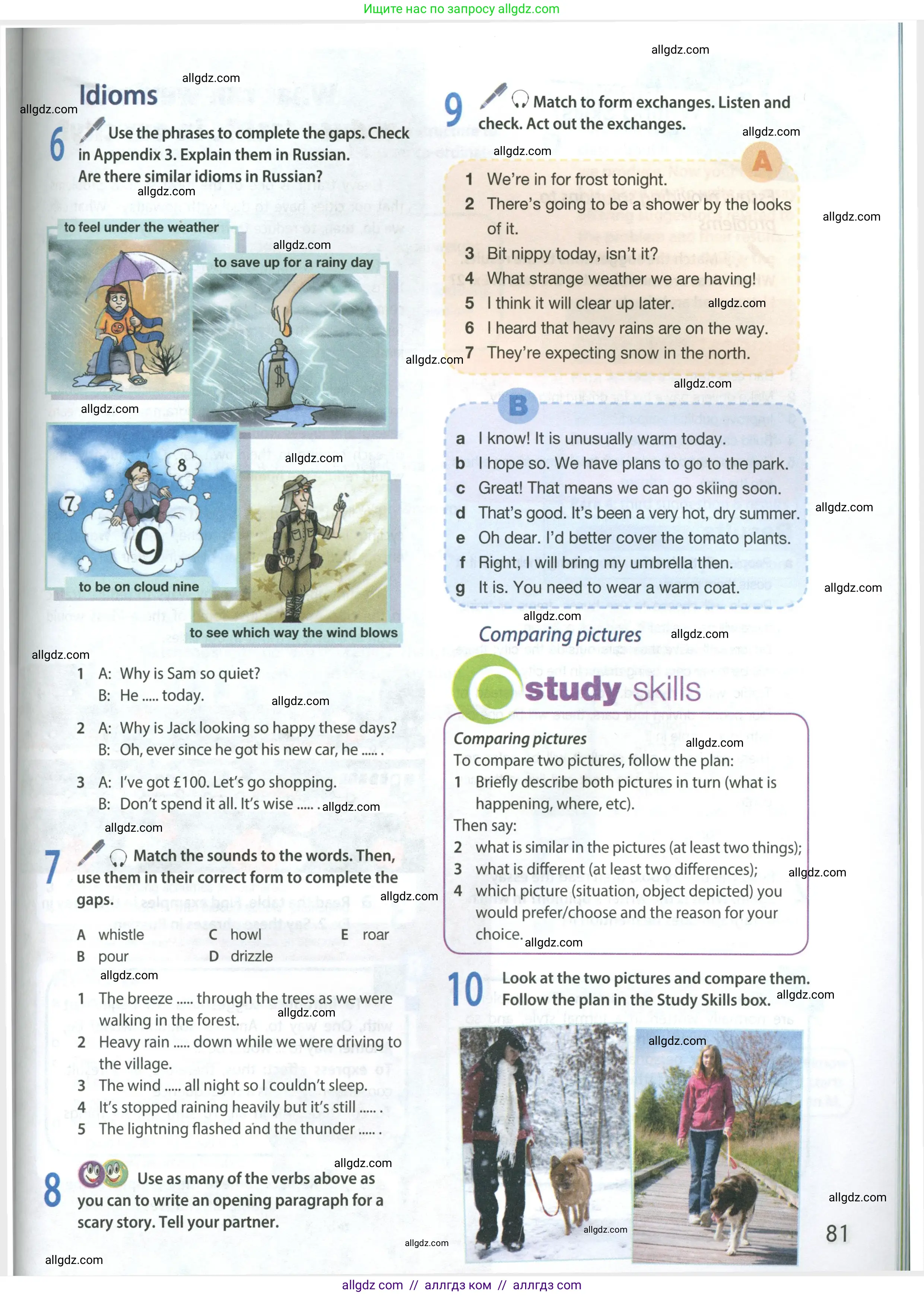 Английский язык (english), 8 класс Учебник (Student's book), авторы: Ваулина Юлия Евгеньевна (Vaulina Julia), Дули Дженни (Dooley Jenny), Подоляко Ольга Евгеньевна (Podolyako Olga), Эванс Вирджиния (Evans Virginia), издательство Просвещение, Москва, 2023, бирюзового цвета, страница 81