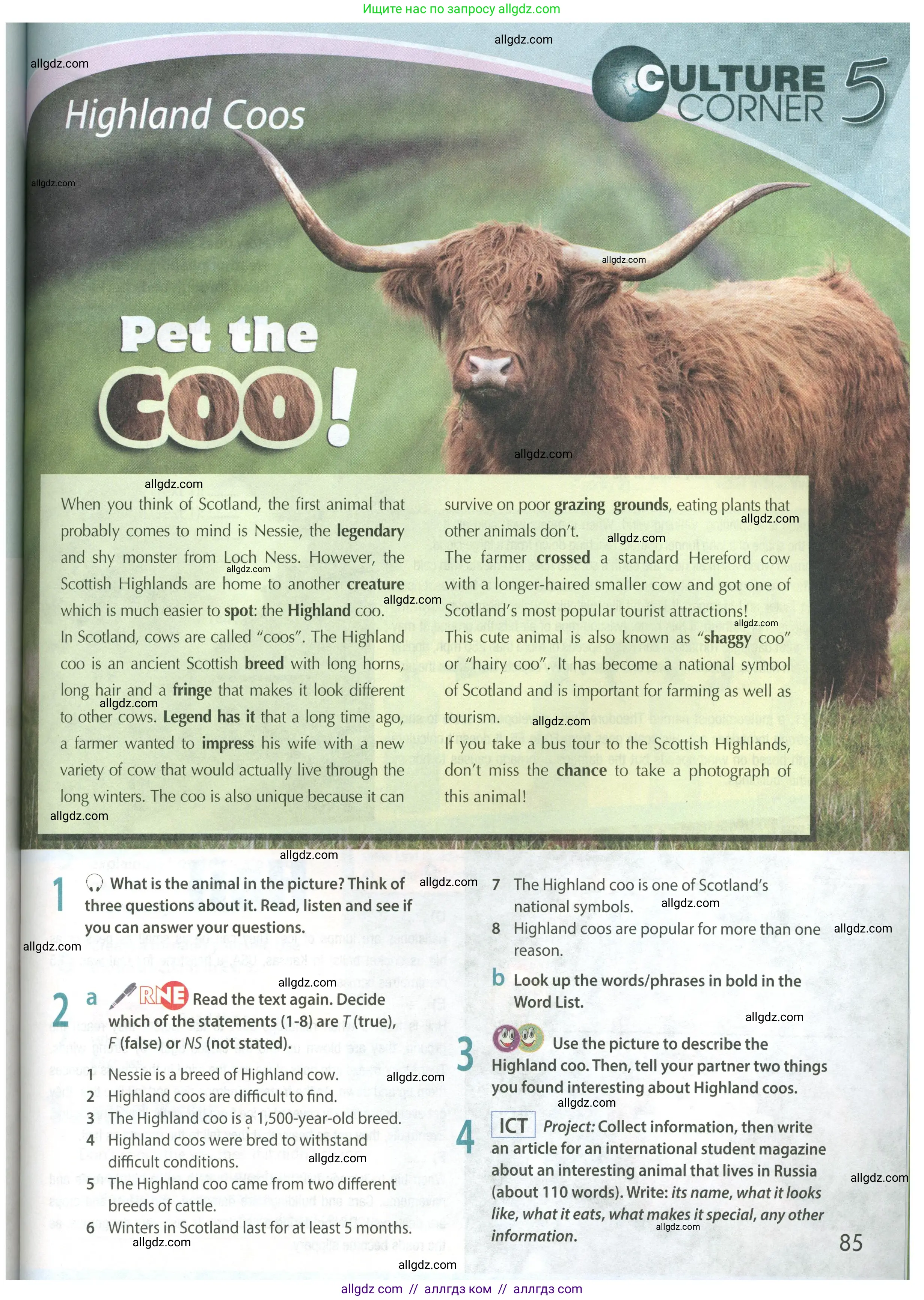 Английский язык (english), 8 класс Учебник (Student's book), авторы: Ваулина Юлия Евгеньевна (Vaulina Julia), Дули Дженни (Dooley Jenny), Подоляко Ольга Евгеньевна (Podolyako Olga), Эванс Вирджиния (Evans Virginia), издательство Просвещение, Москва, 2023, бирюзового цвета, страница 85