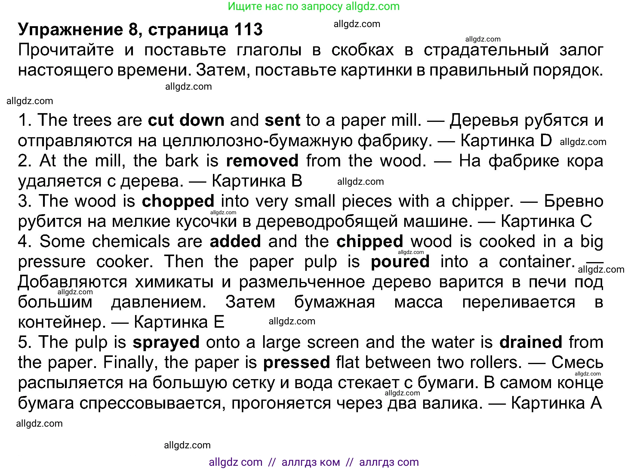 Английский язык (english), 8 класс Учебник (Student's book), авторы: Ваулина Юлия Евгеньевна (Vaulina Julia), Дули Дженни (Dooley Jenny), Подоляко Ольга Евгеньевна (Podolyako Olga), Эванс Вирджиния (Evans Virginia), издательство Просвещение, Москва, 2023, бирюзового цвета, страница 113, номер 8, Решение 2023-2027