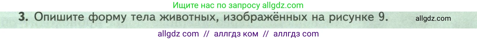 Биология, 8 класс Учебник, авторы: Пасечник Владимир Васильевич, Суматохин Сергей Витальевич, Гапонюк Зоя Георгиевна, издательство Просвещение, Москва, 2023, белого цвета, страница 13, номер 3, Условие