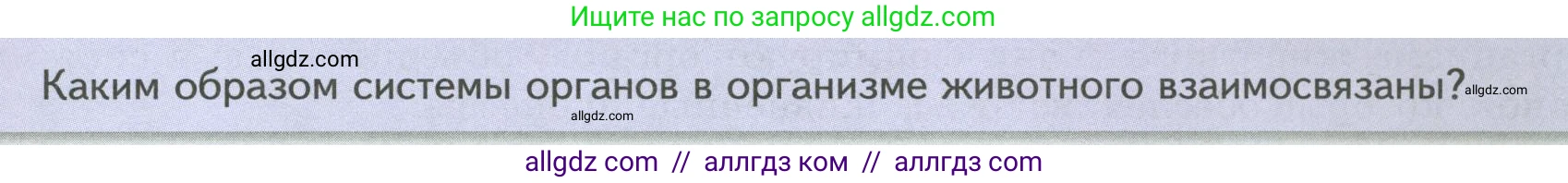 Биология, 8 класс Учебник, авторы: Пасечник Владимир Васильевич, Суматохин Сергей Витальевич, Гапонюк Зоя Георгиевна, издательство Просвещение, Москва, 2023, белого цвета, страница 19, Условие