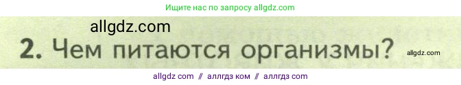Биология, 8 класс Учебник, авторы: Пасечник Владимир Васильевич, Суматохин Сергей Витальевич, Гапонюк Зоя Георгиевна, издательство Просвещение, Москва, 2023, белого цвета, страница 26, номер 2, Условие