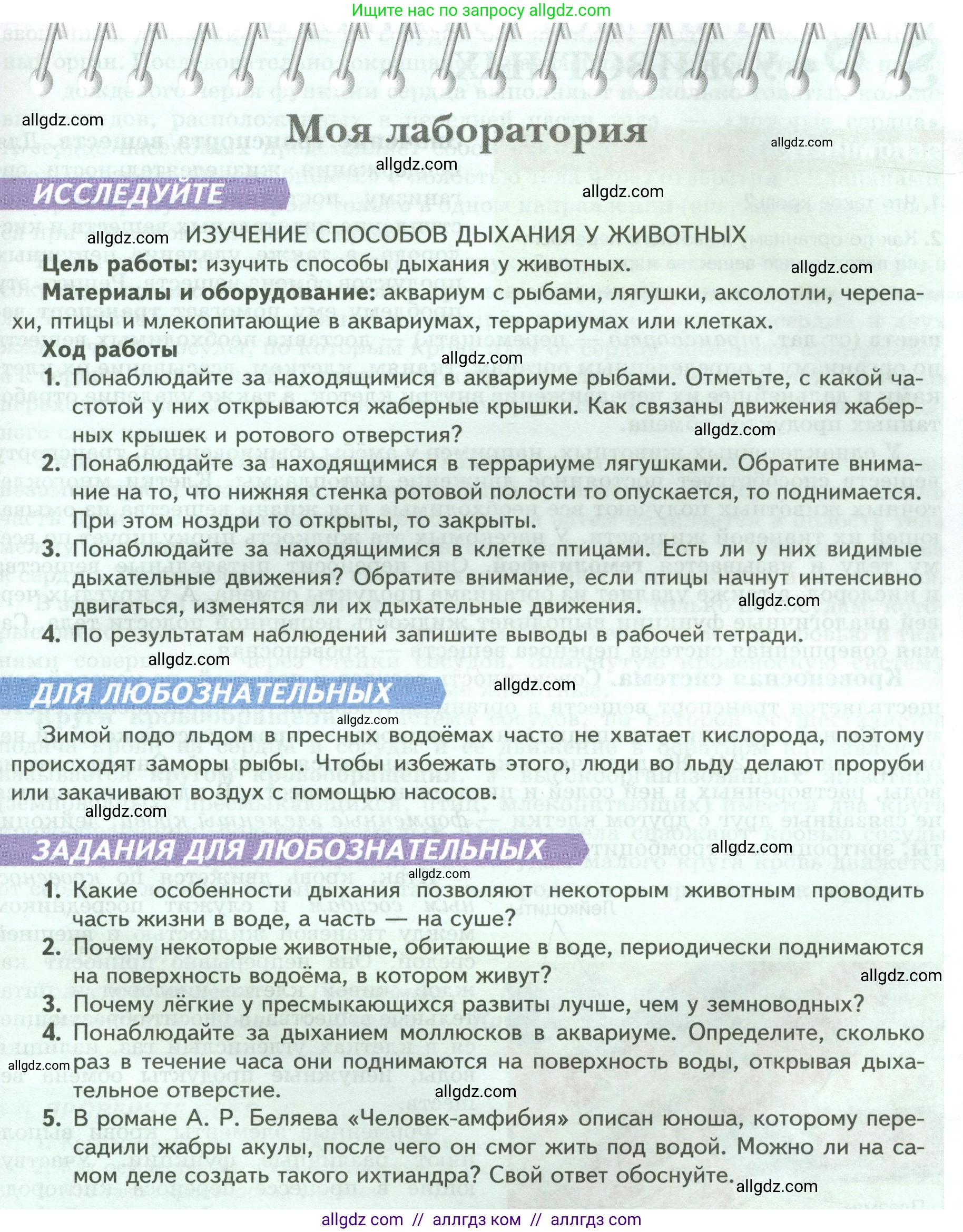Биология, 8 класс Учебник, авторы: Пасечник Владимир Васильевич, Суматохин Сергей Витальевич, Гапонюк Зоя Георгиевна, издательство Просвещение, Москва, 2023, белого цвета, страница 33, Условие